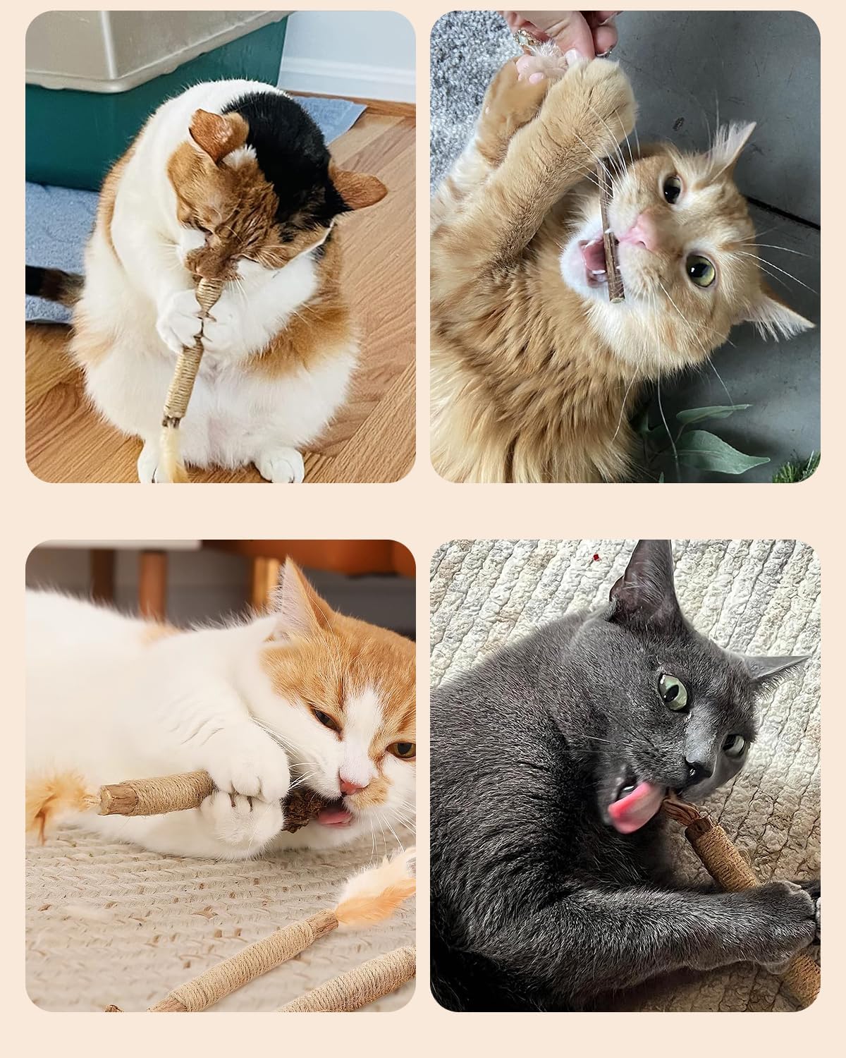 81UjYum2nVL._AC_SL1500_.jpg 81UjYum2nVL._AC_SL1500_.jpg