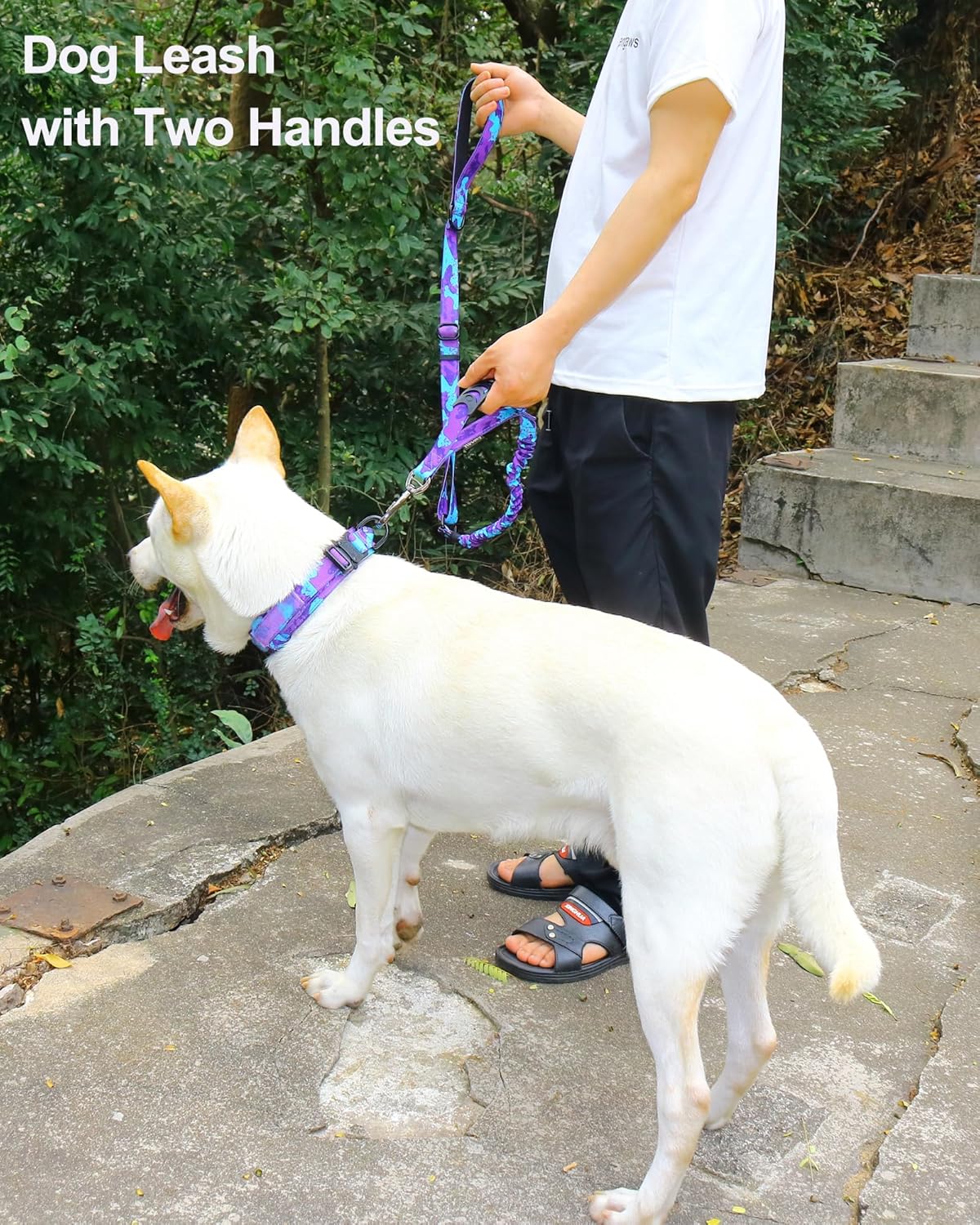 81YxwR7XOOL._AC_SL1500_.jpg 81YxwR7XOOL._AC_SL1500_.jpg