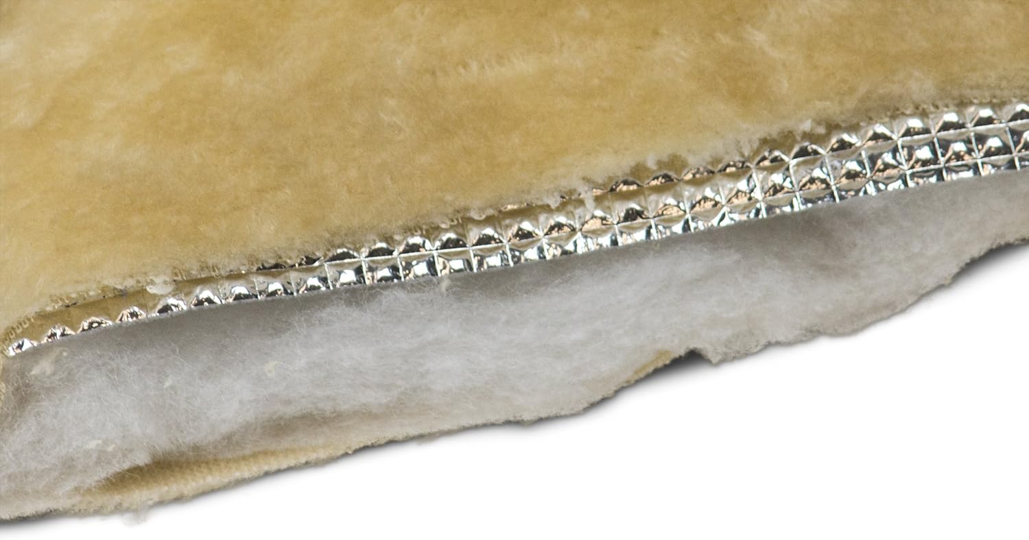 81aH9cc82AL._AC_SL1500_.jpg 81aH9cc82AL._AC_SL1500_.jpg