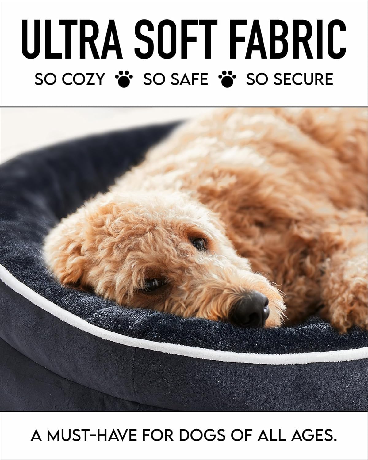 81cI8xE0gL._AC_SL1500_.jpg 81cI8xE0gL._AC_SL1500_.jpg