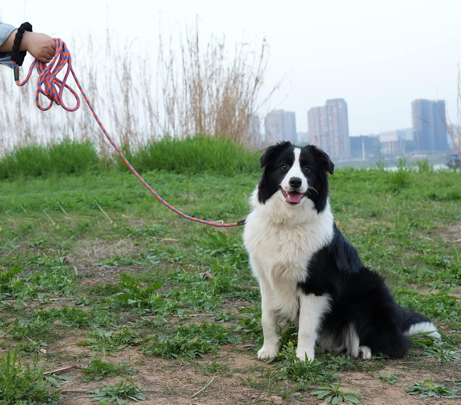 81gf9VawX3L._AC_SL1500_.jpg 81gf9VawX3L._AC_SL1500_.jpg