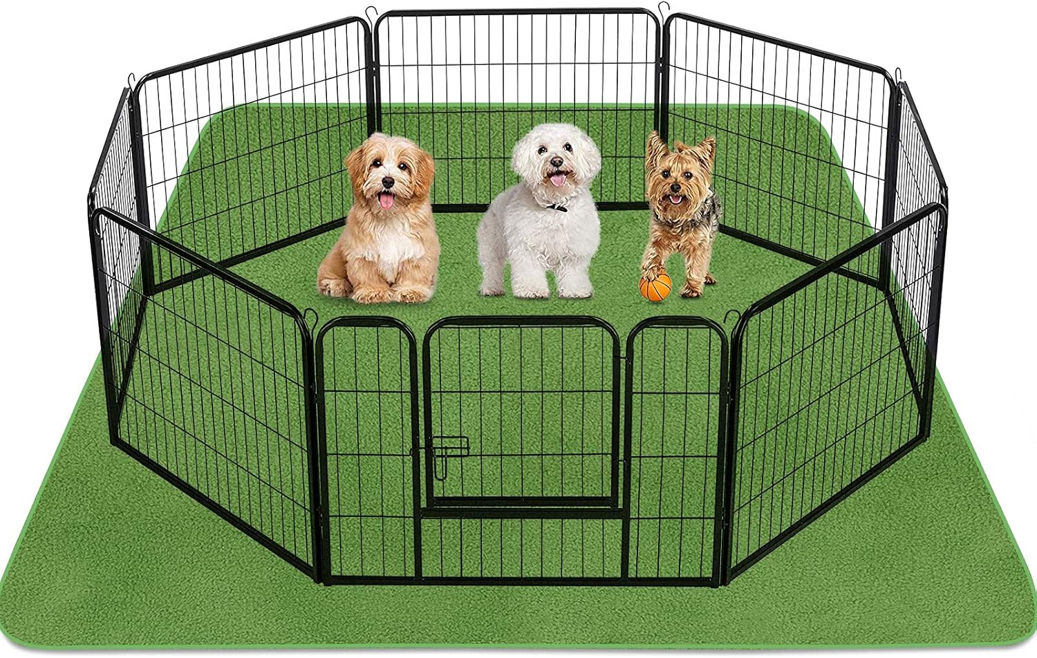 81jc5liqY2L._AC_SL1500_.jpg 81jc5liqY2L._AC_SL1500_.jpg