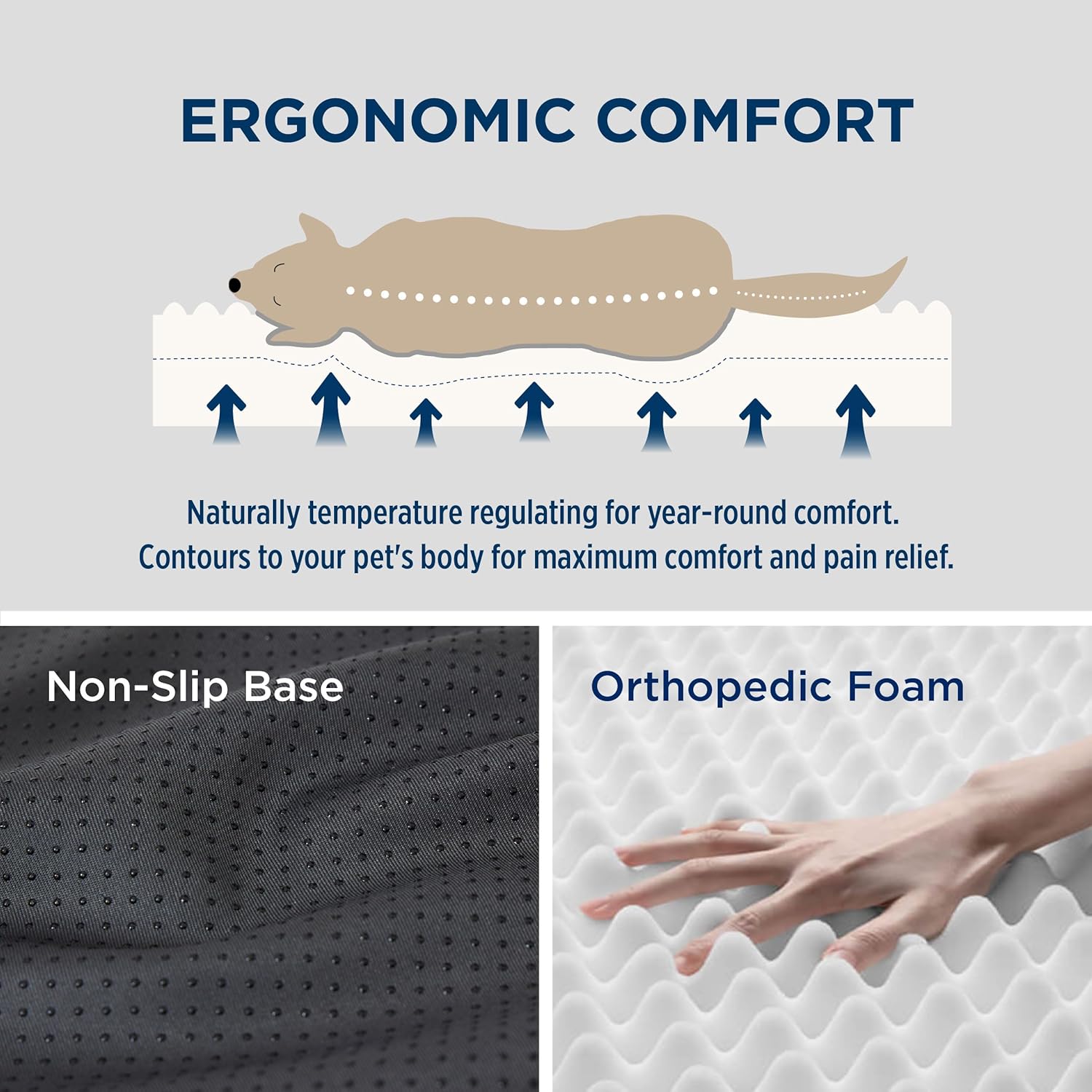 81k0EVOSrBL._AC_SL1500_.jpg 81k0EVOSrBL._AC_SL1500_.jpg