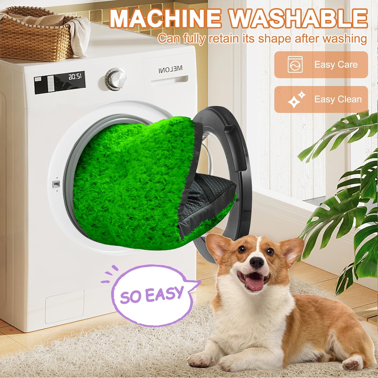 81lL5OVZuTL._AC_SL1500_.jpg 81lL5OVZuTL._AC_SL1500_.jpg