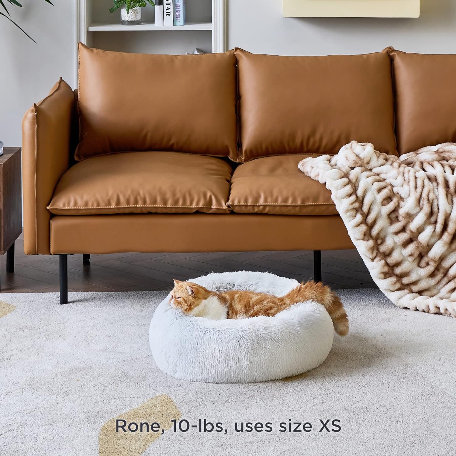 81ns-jFuINL._AC_SL1500_-2.jpg 81ns-jFuINL._AC_SL1500_-2.jpg