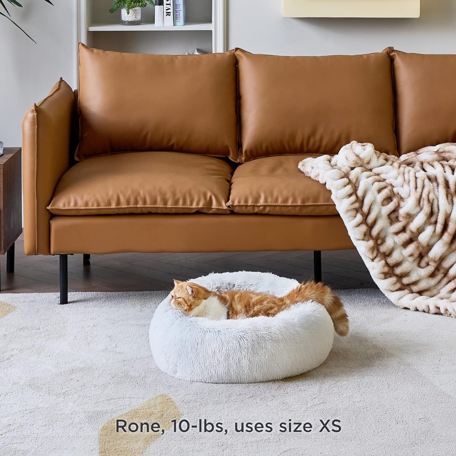 81ns-jFuINL._AC_SL1500_.jpg 81ns-jFuINL._AC_SL1500_.jpg