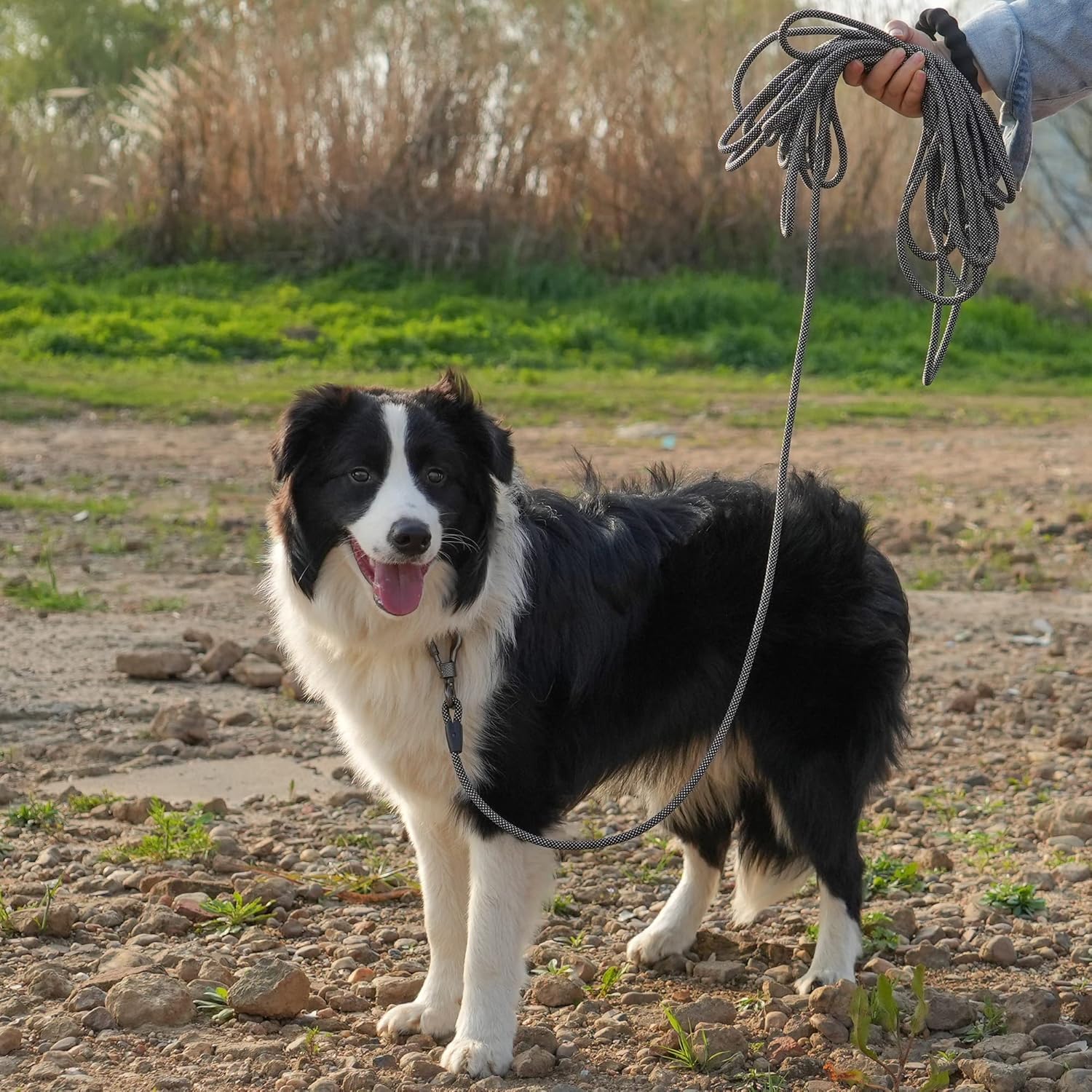 81nziIIx7eL._AC_SL1500_.jpg 81nziIIx7eL._AC_SL1500_.jpg