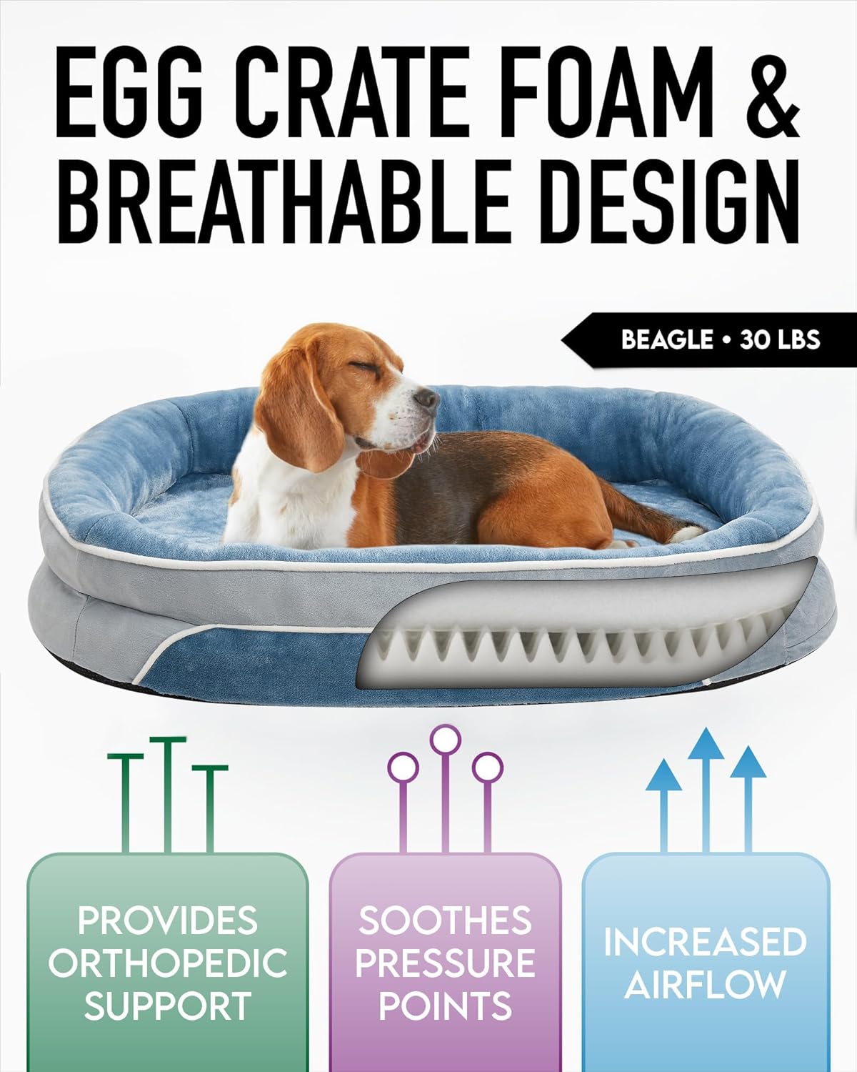 81o6WJ2EByL._AC_SL1500_.jpg 81o6WJ2EByL._AC_SL1500_.jpg