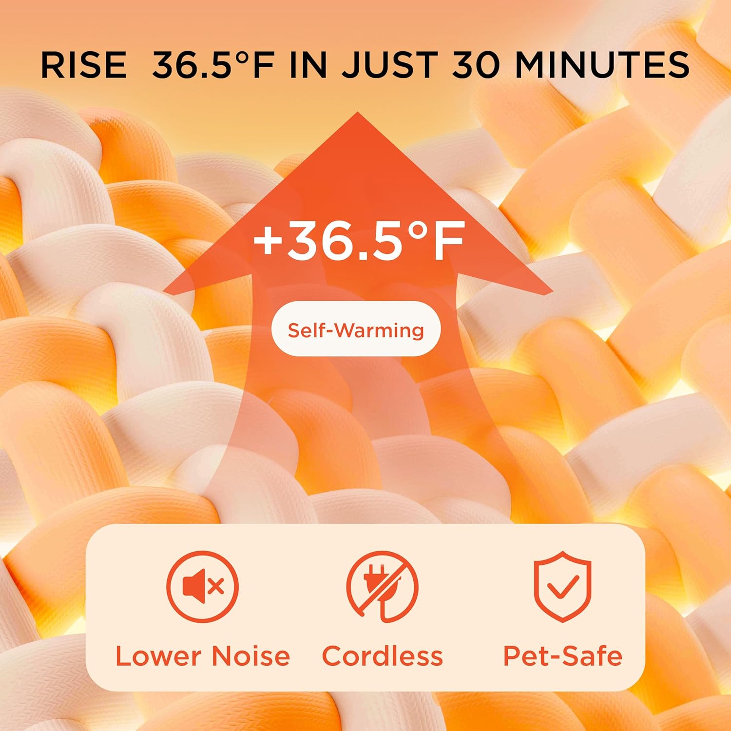 81omEDrW-pL._AC_SL1500_.jpg 81omEDrW-pL._AC_SL1500_.jpg