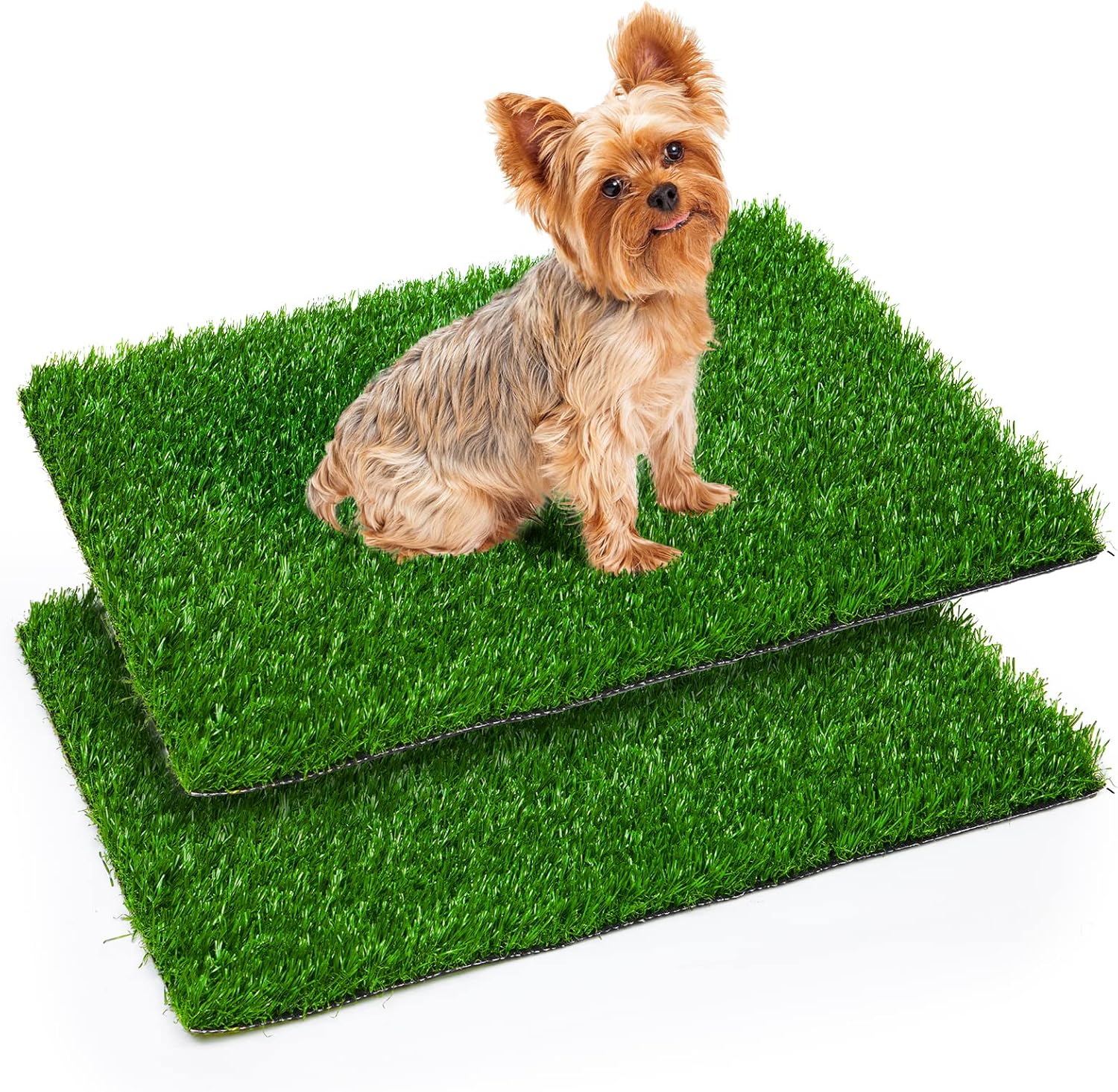 81pK6f-8GLL._AC_SL1500_.jpg 81pK6f-8GLL._AC_SL1500_.jpg