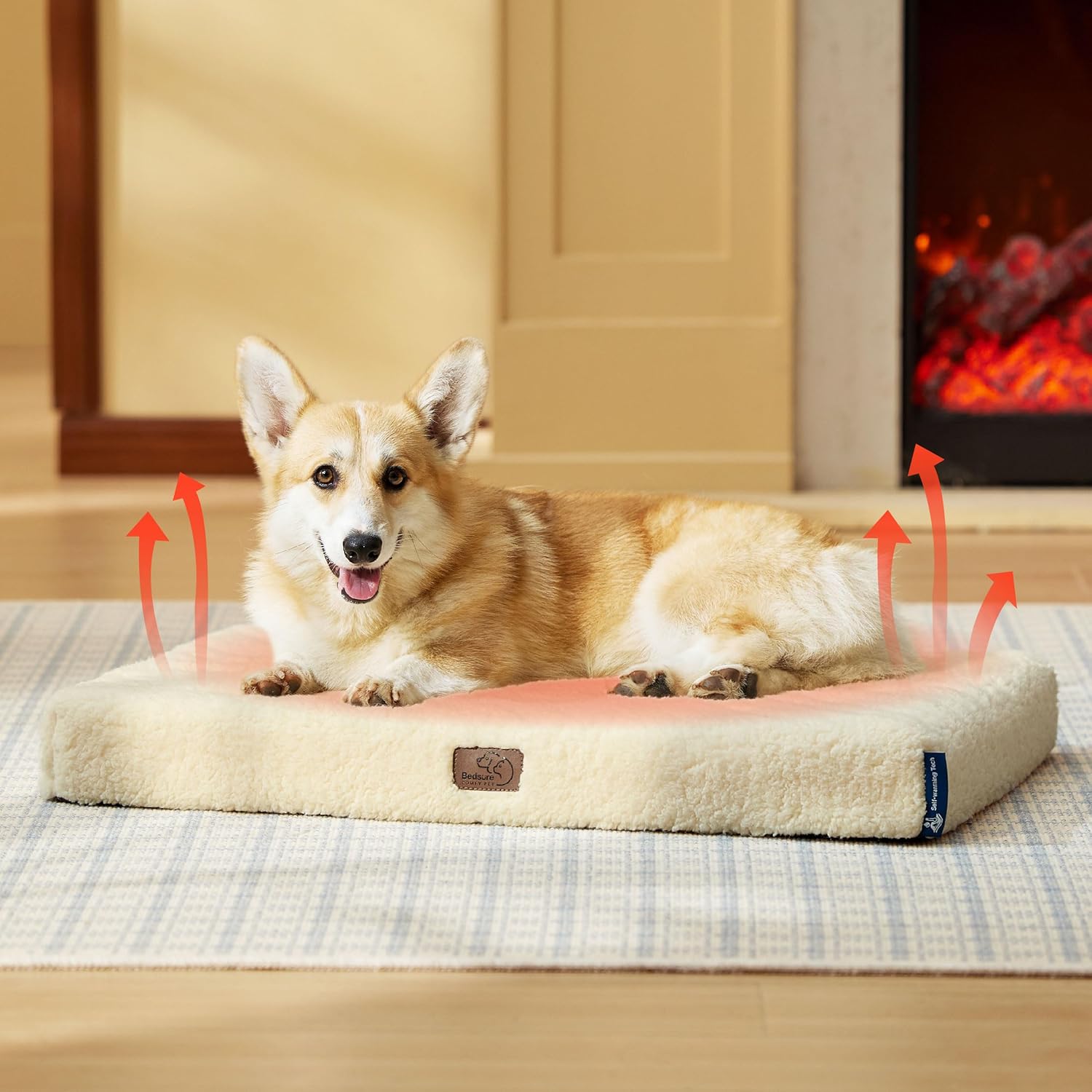 81q7kCtDAUL._AC_SL1500_.jpg 81q7kCtDAUL._AC_SL1500_.jpg