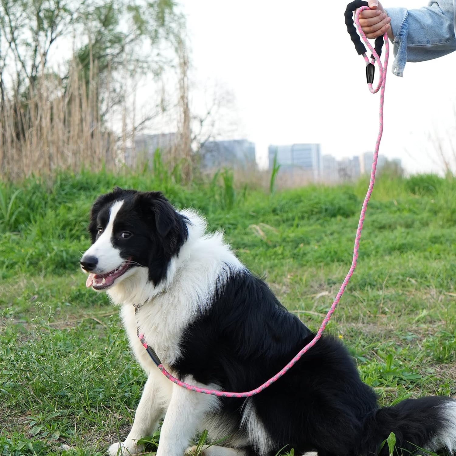 81rYkHeQEcL._AC_SL1500_.jpg 81rYkHeQEcL._AC_SL1500_.jpg