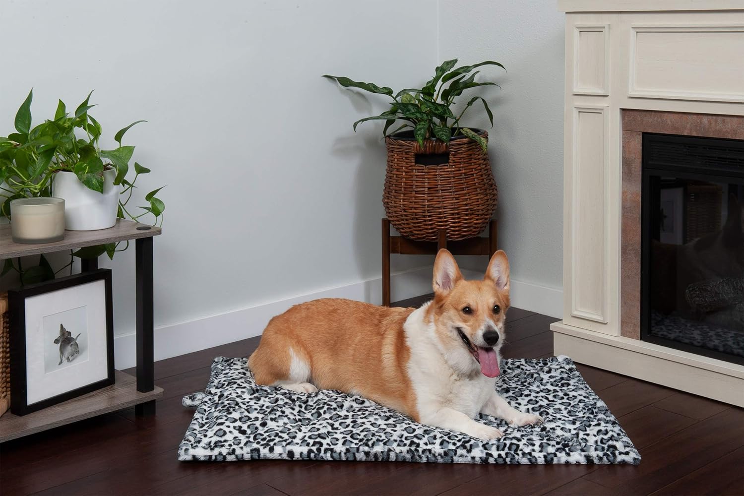 81uDNydMU6L._AC_SL1500_.jpg 81uDNydMU6L._AC_SL1500_.jpg