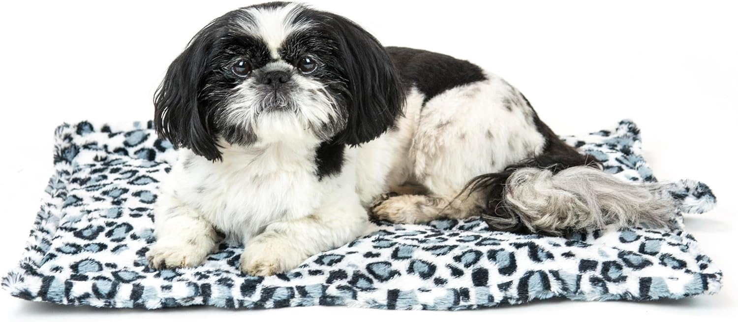 81umY8Ag8kL._AC_SL1500_.jpg 81umY8Ag8kL._AC_SL1500_.jpg