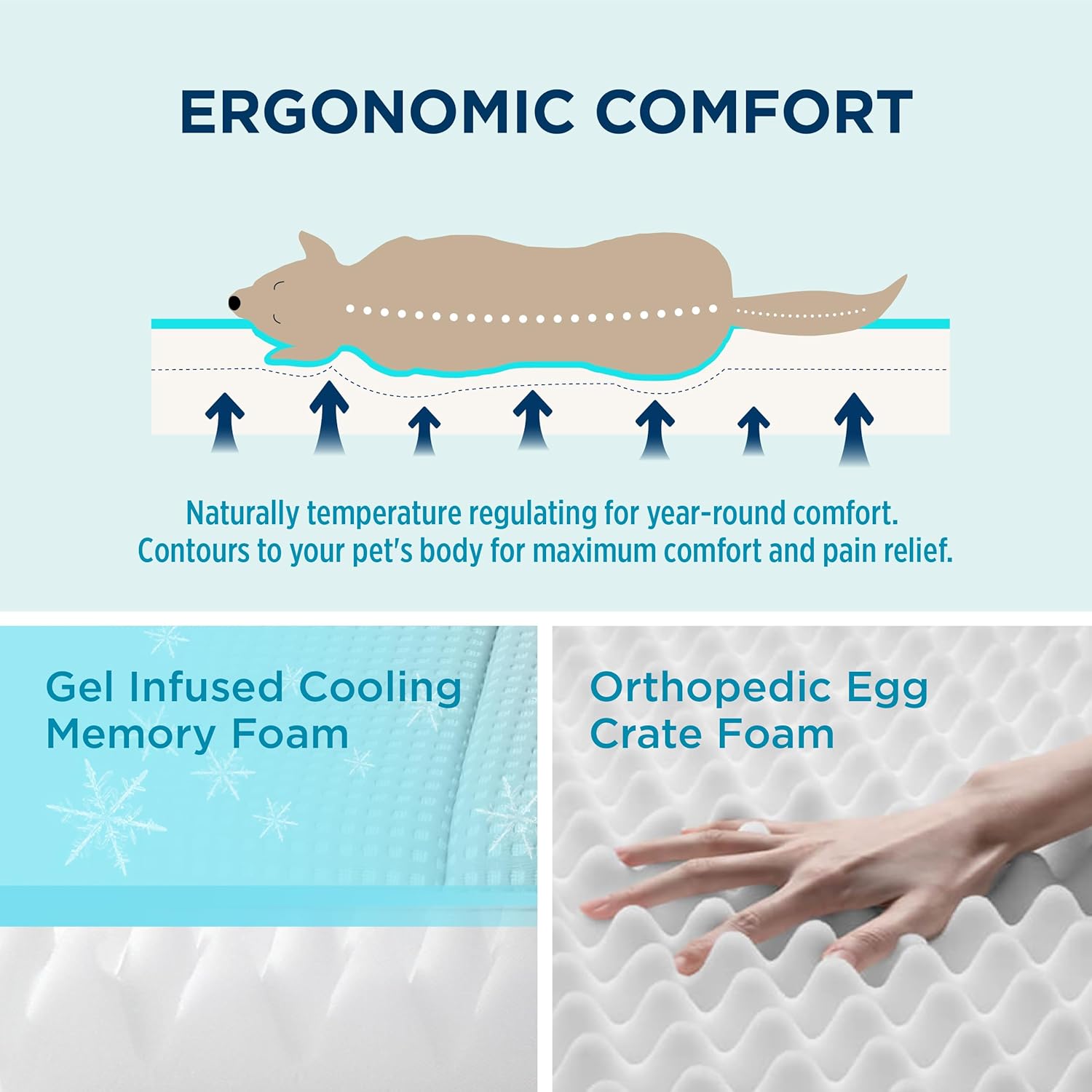 81vluQ8XwGL._AC_SL1500_.jpg 81vluQ8XwGL._AC_SL1500_.jpg