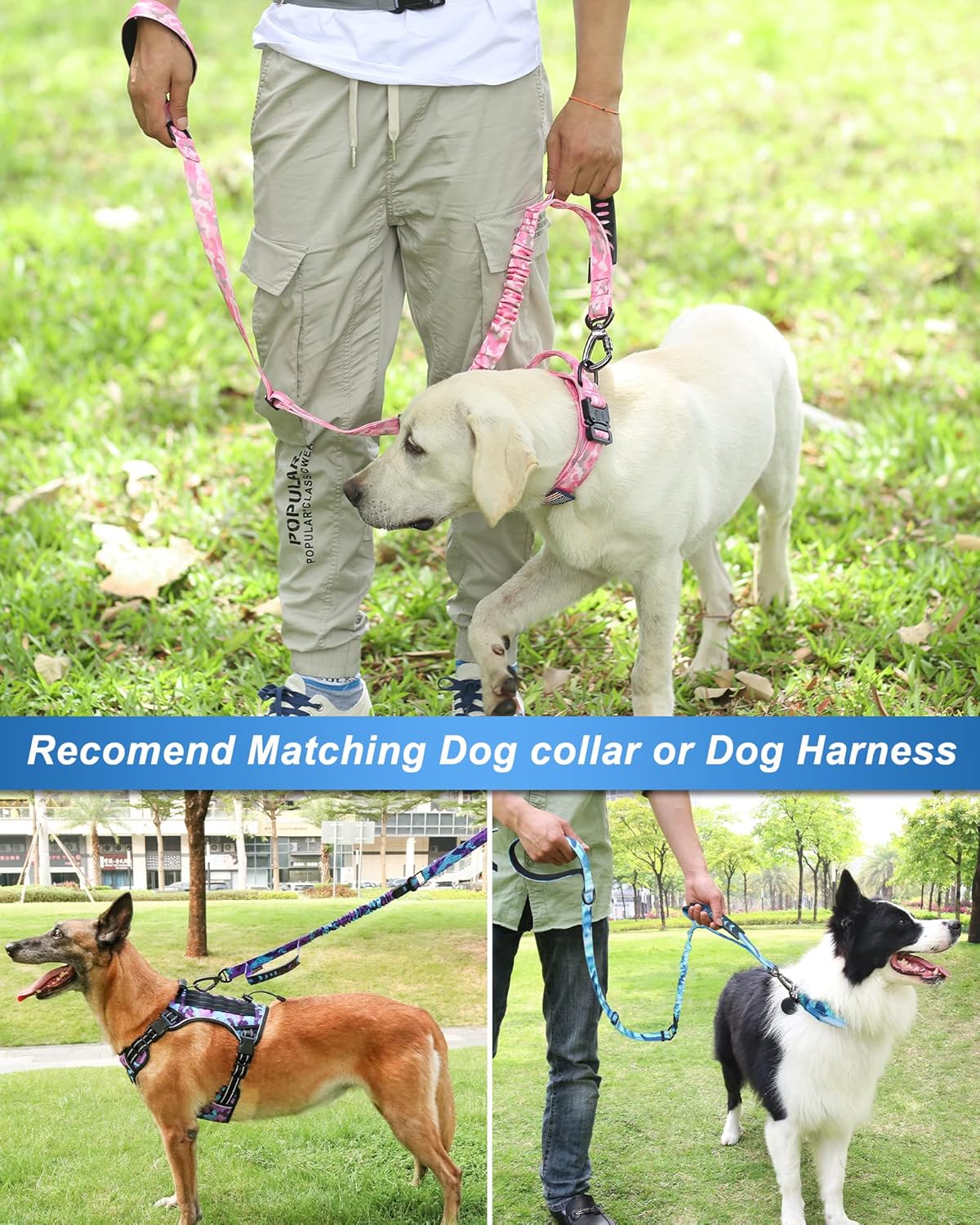 81w0ovWB5dL._AC_SL1500_.jpg 81w0ovWB5dL._AC_SL1500_.jpg