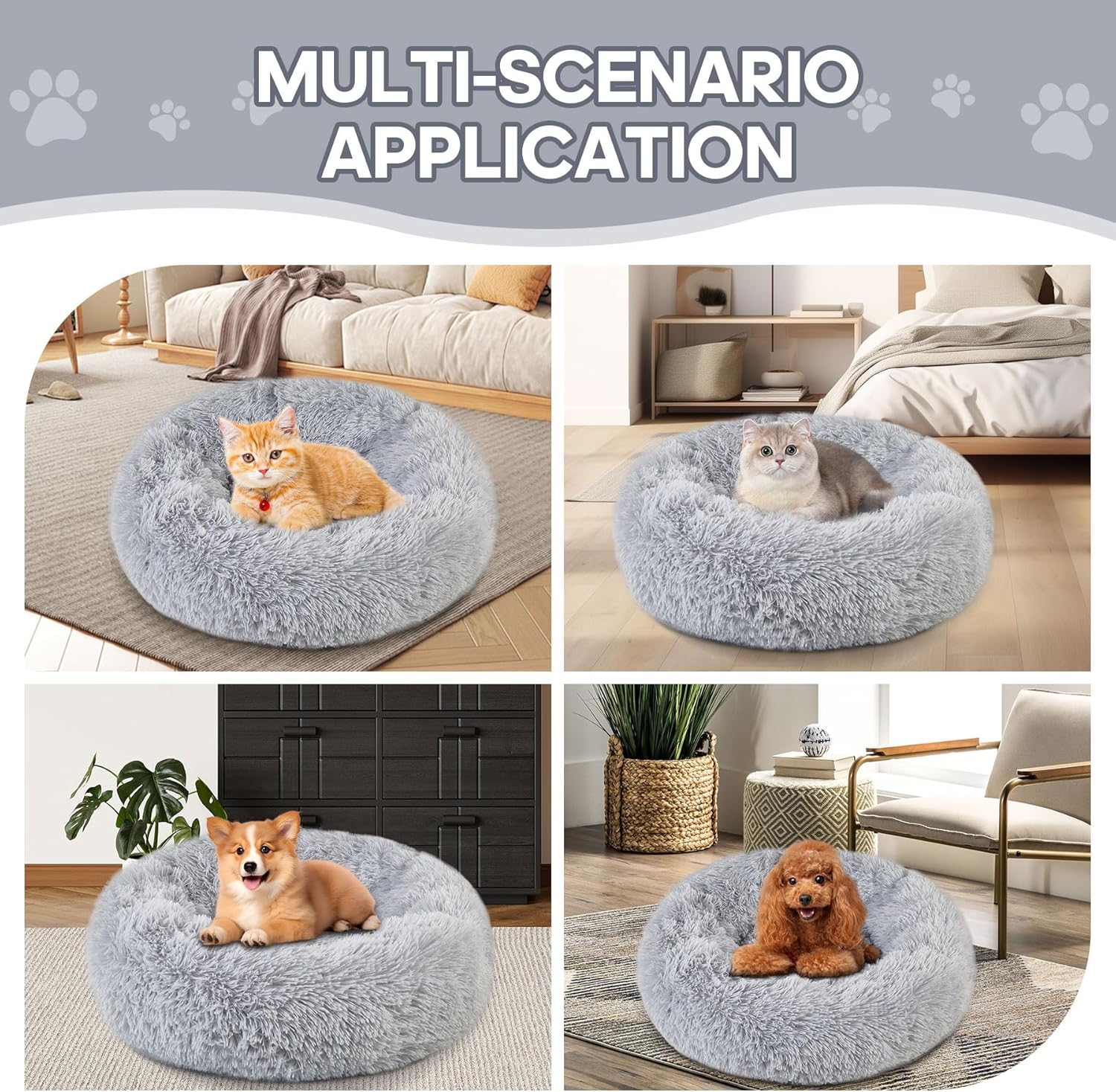 81w8BR5soHL._AC_SL1500_.jpg 81w8BR5soHL._AC_SL1500_.jpg