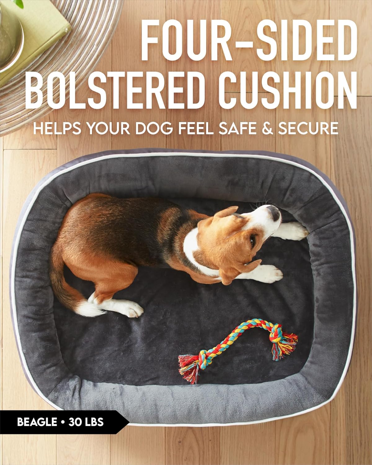 81wFFg0L0L._AC_SL1500_.jpg 81wFFg0L0L._AC_SL1500_.jpg