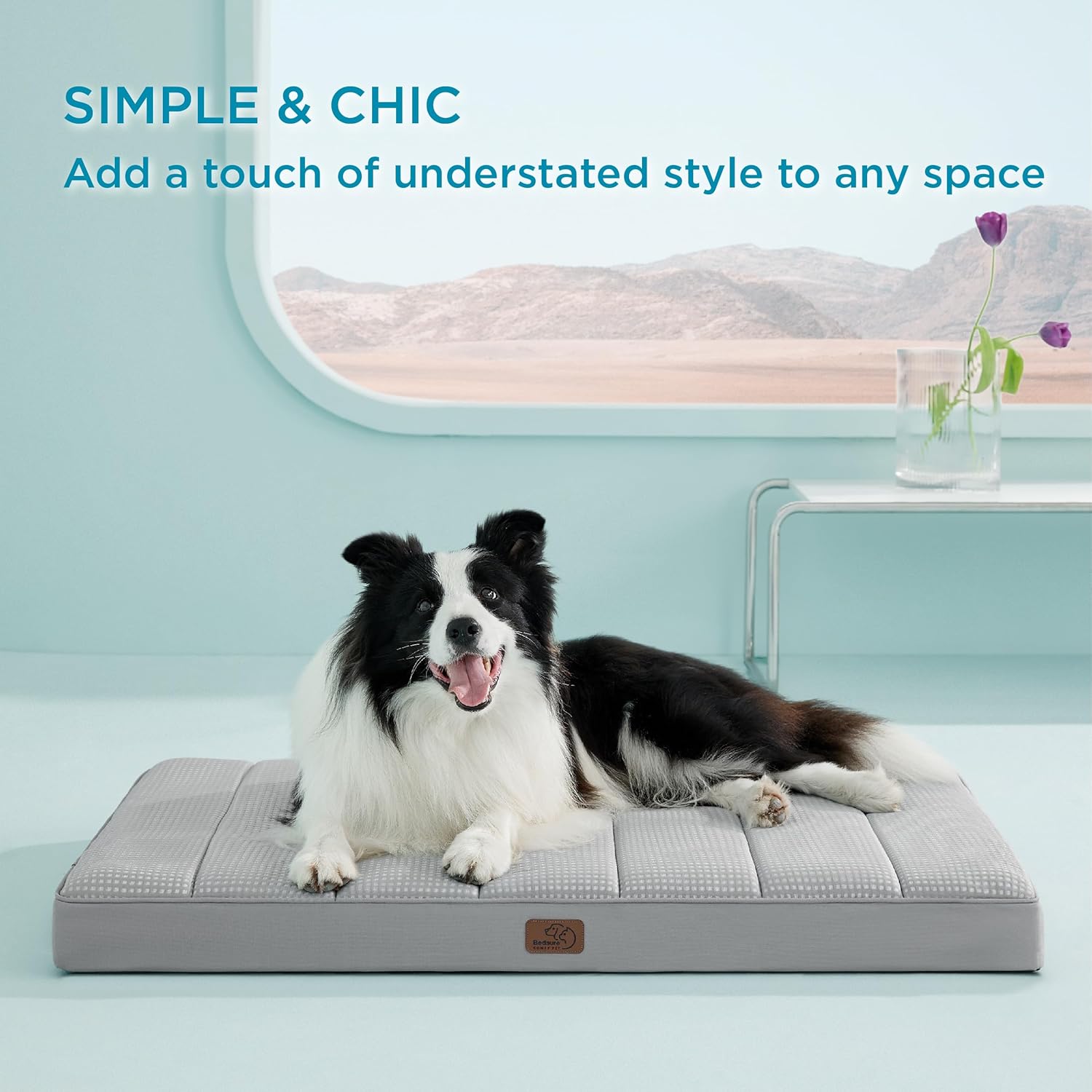 81y5BnuSP4L._AC_SL1500_.jpg 81y5BnuSP4L._AC_SL1500_.jpg