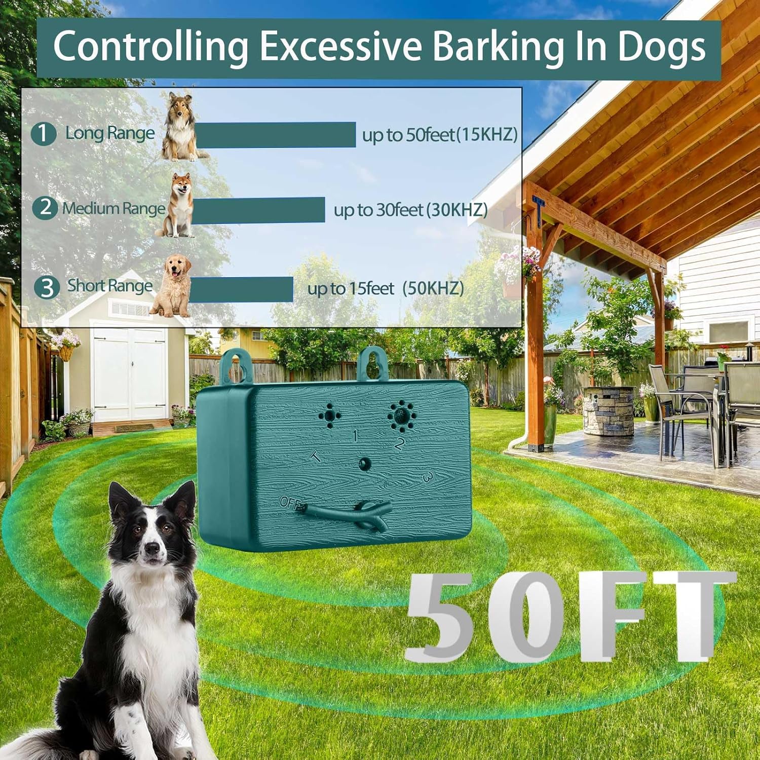 81yQUL1IEYL._AC_SL1500_.jpg 81yQUL1IEYL._AC_SL1500_.jpg