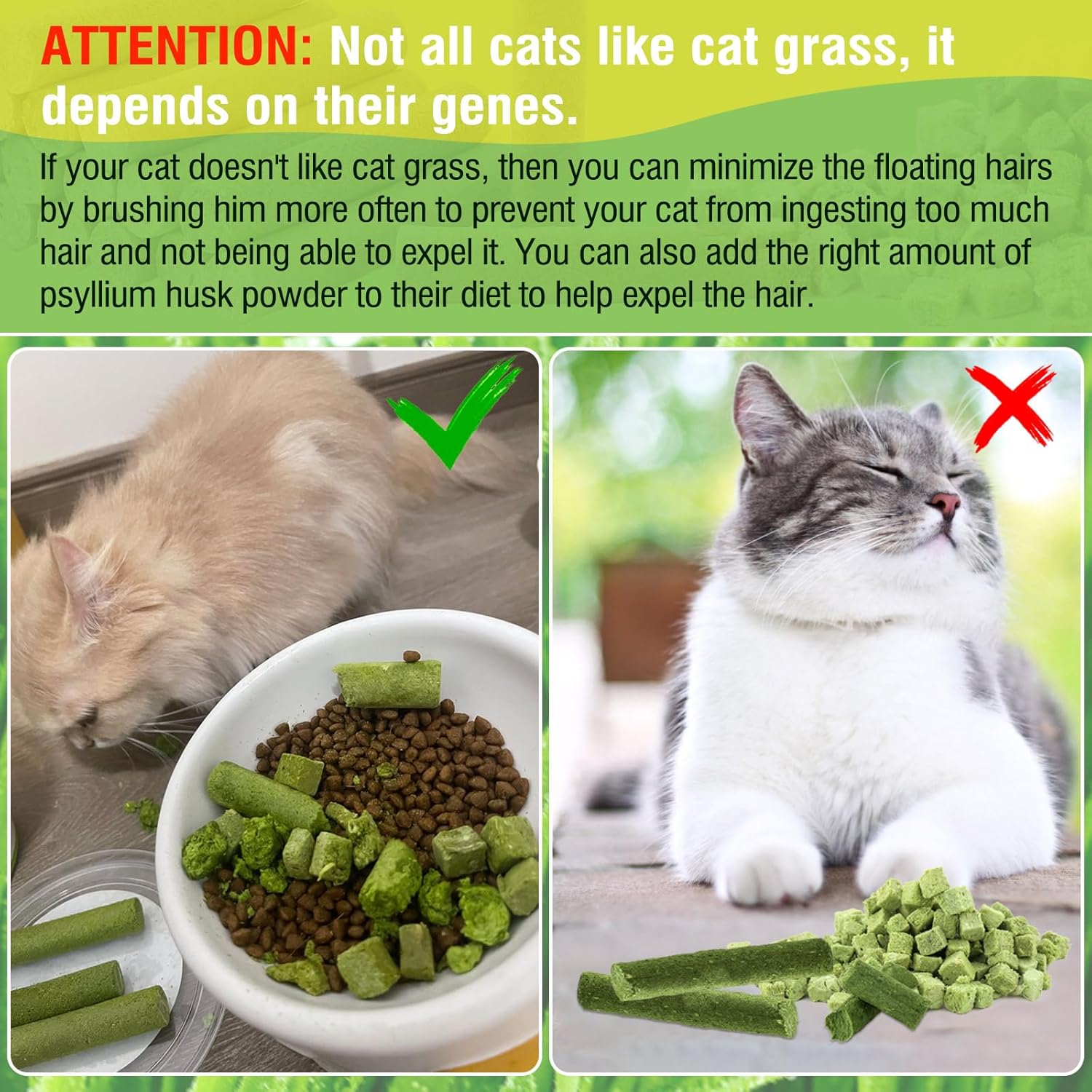 81z4MBeIe4L._AC_SL1500_-1.jpg 81z4MBeIe4L._AC_SL1500_-1.jpg