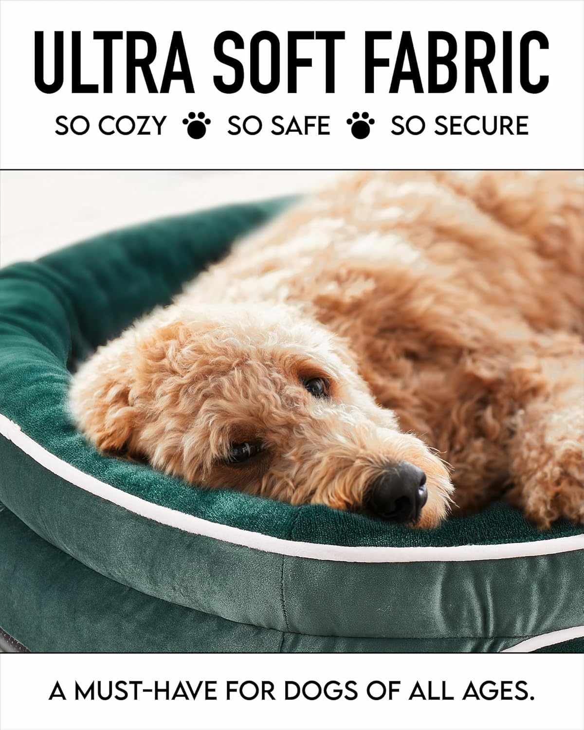 81zmB4VinvL._AC_SL1500_.jpg 81zmB4VinvL._AC_SL1500_.jpg