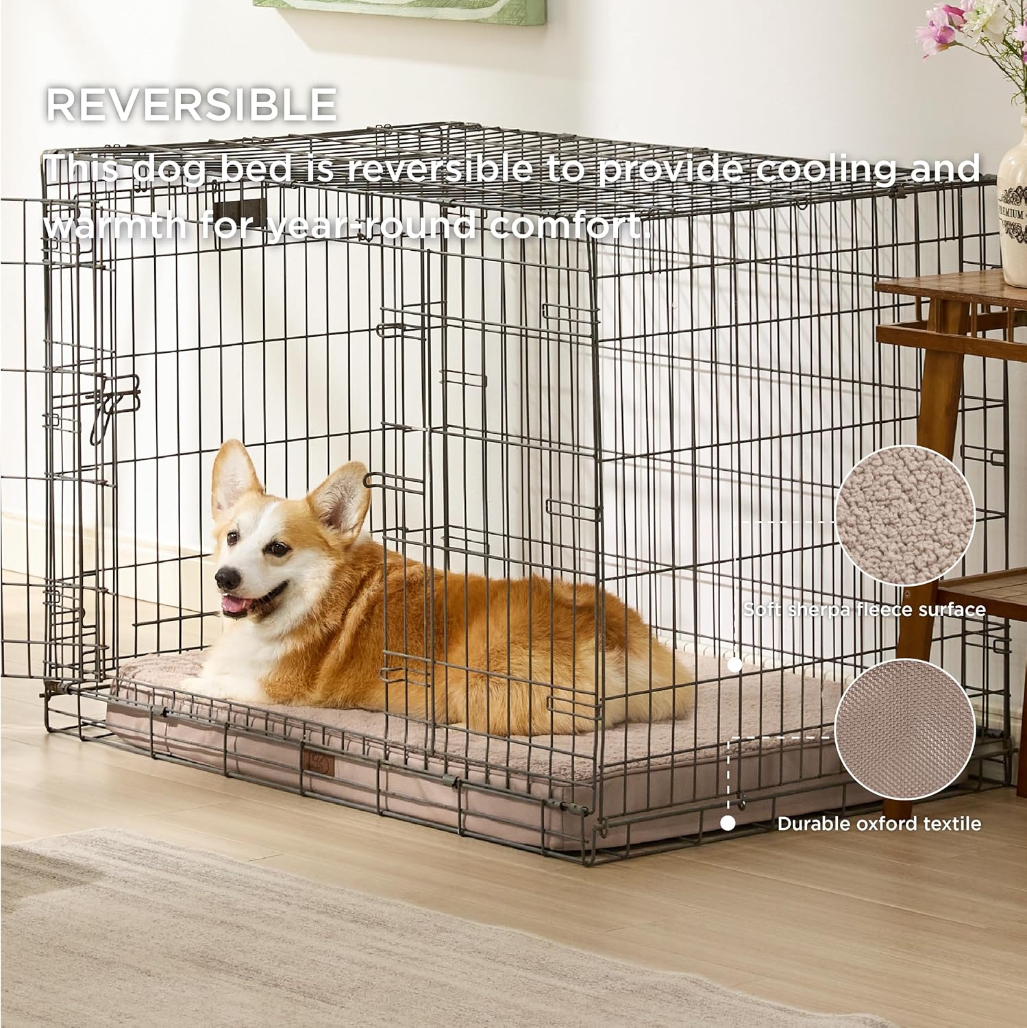 91-DY2KmbML._AC_SL1500_.jpg 91-DY2KmbML._AC_SL1500_.jpg