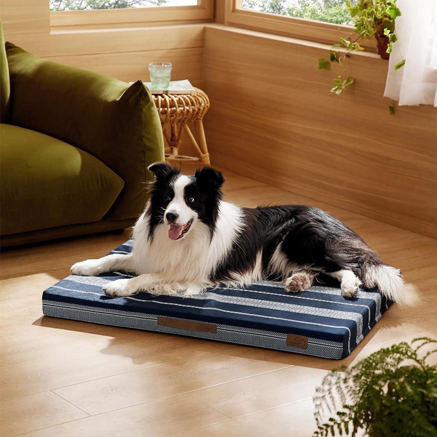 91-Zd-pBTGL._AC_SL1500_.jpg 91-Zd-pBTGL._AC_SL1500_.jpg