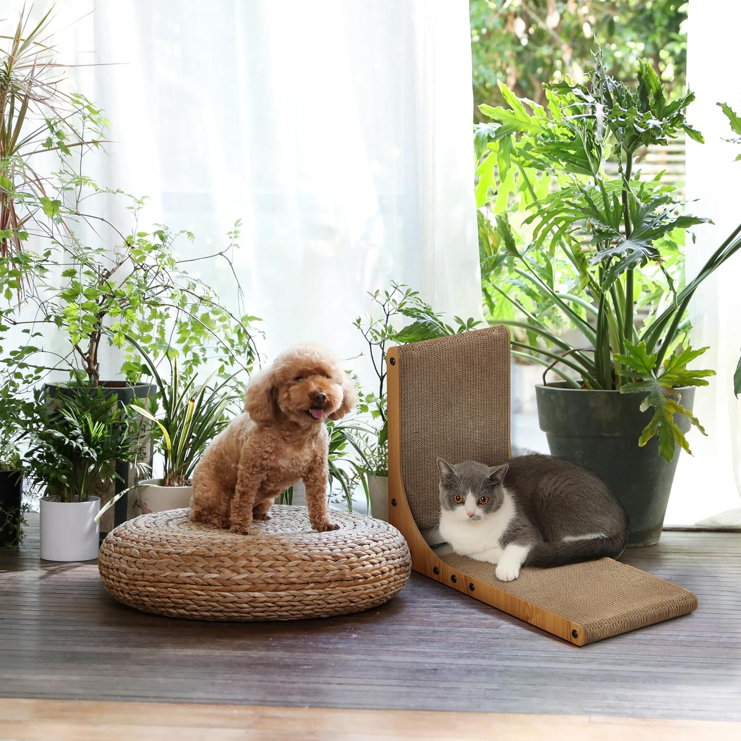 910bmHEYaL._AC_SL1500_.jpg 910bmHEYaL._AC_SL1500_.jpg