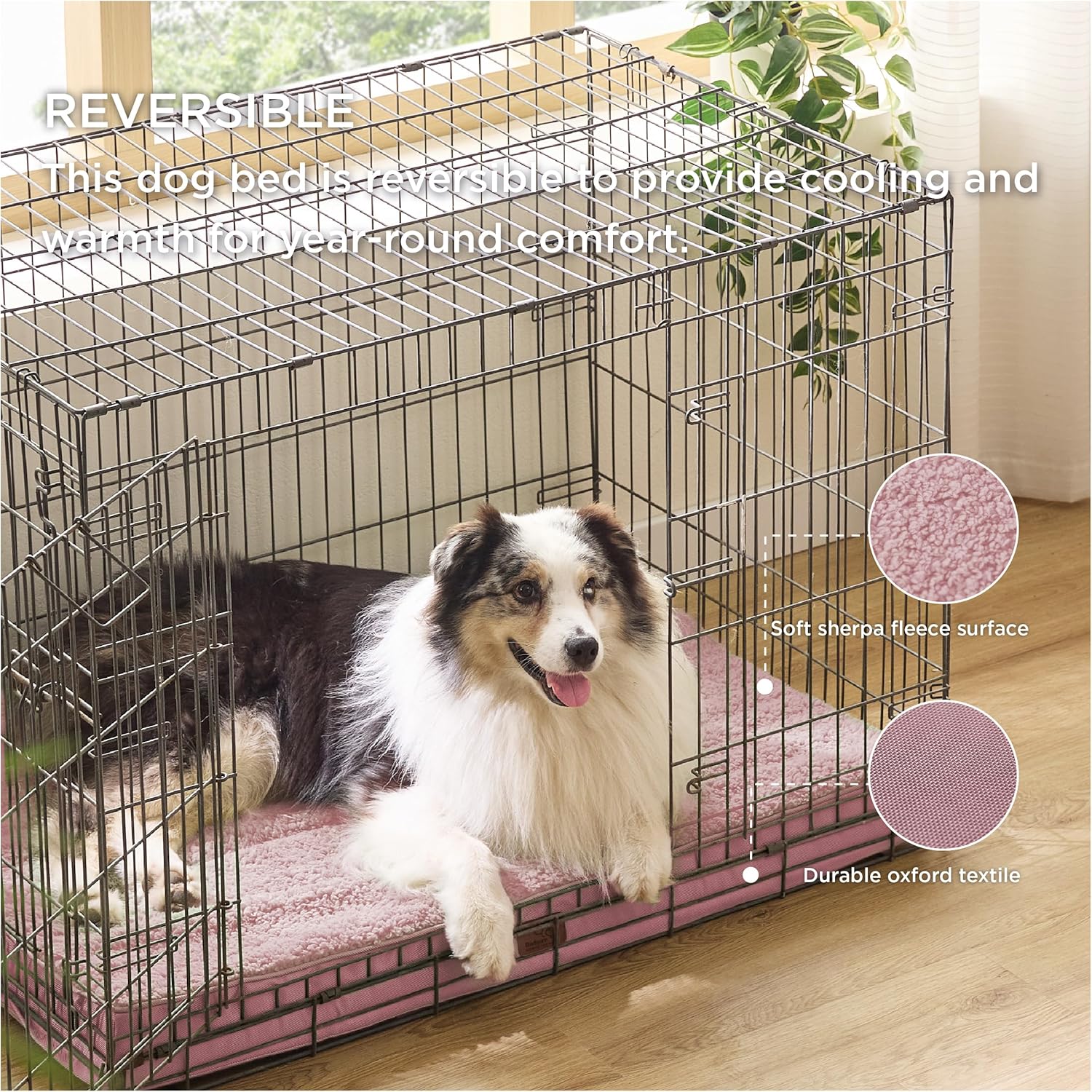 910y2uMn9ML._AC_SL1500_.jpg 910y2uMn9ML._AC_SL1500_.jpg