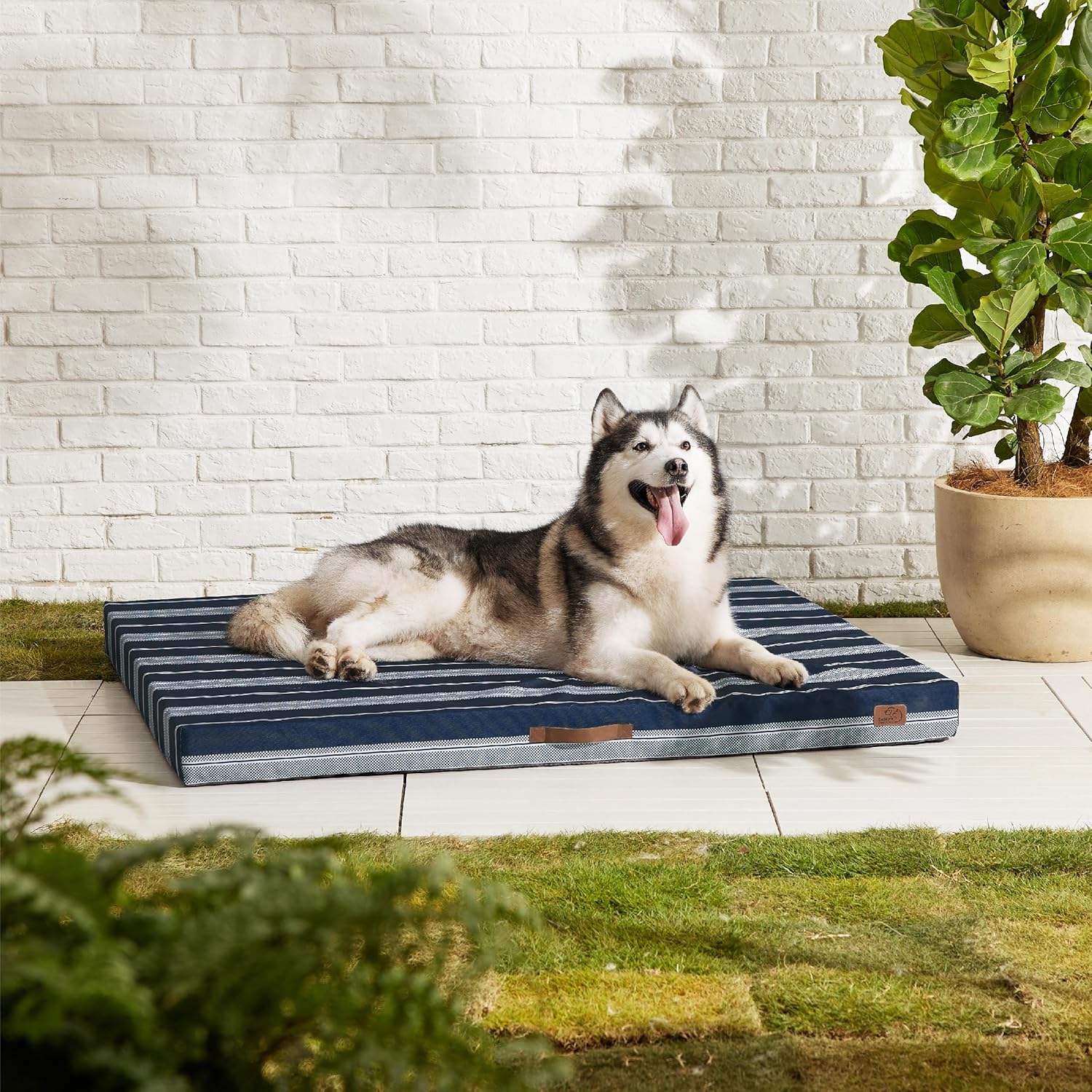 911kMKvpkL._AC_SL1500_.jpg 911kMKvpkL._AC_SL1500_.jpg