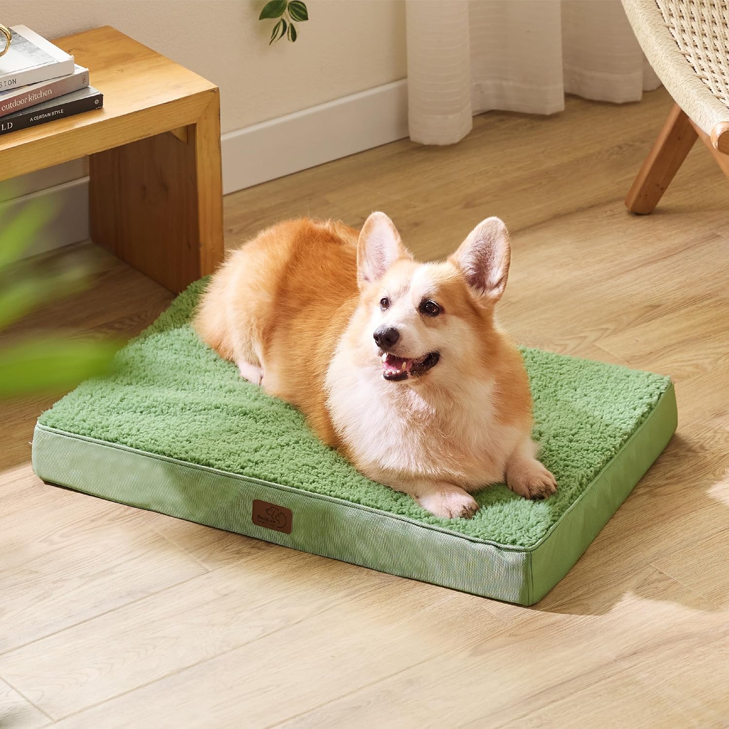 918Czv4pq5L._AC_SL1500_.jpg 918Czv4pq5L._AC_SL1500_.jpg