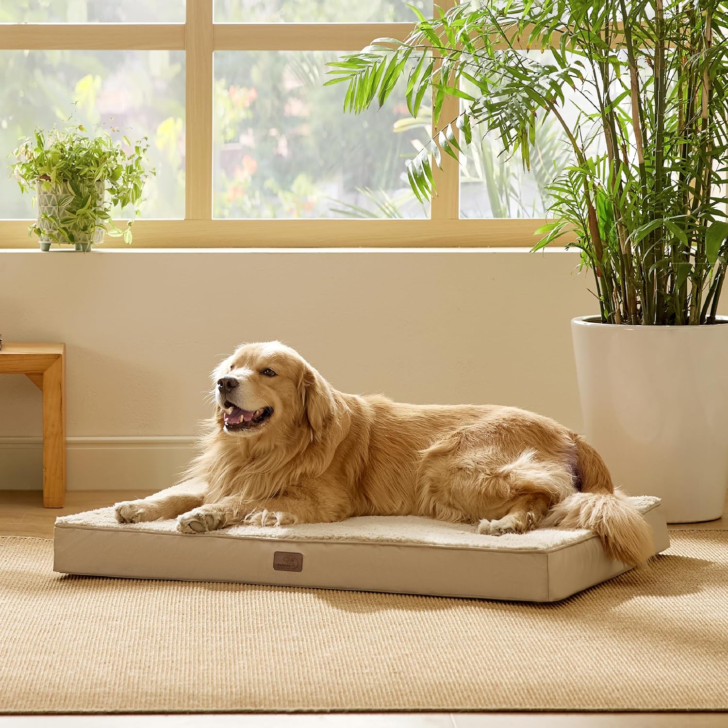 91BpxhgU05L._AC_SL1500_.jpg 91BpxhgU05L._AC_SL1500_.jpg