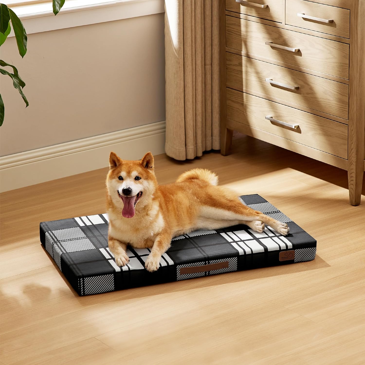 91CMOPyhn9L._AC_SL1500_.jpg 91CMOPyhn9L._AC_SL1500_.jpg