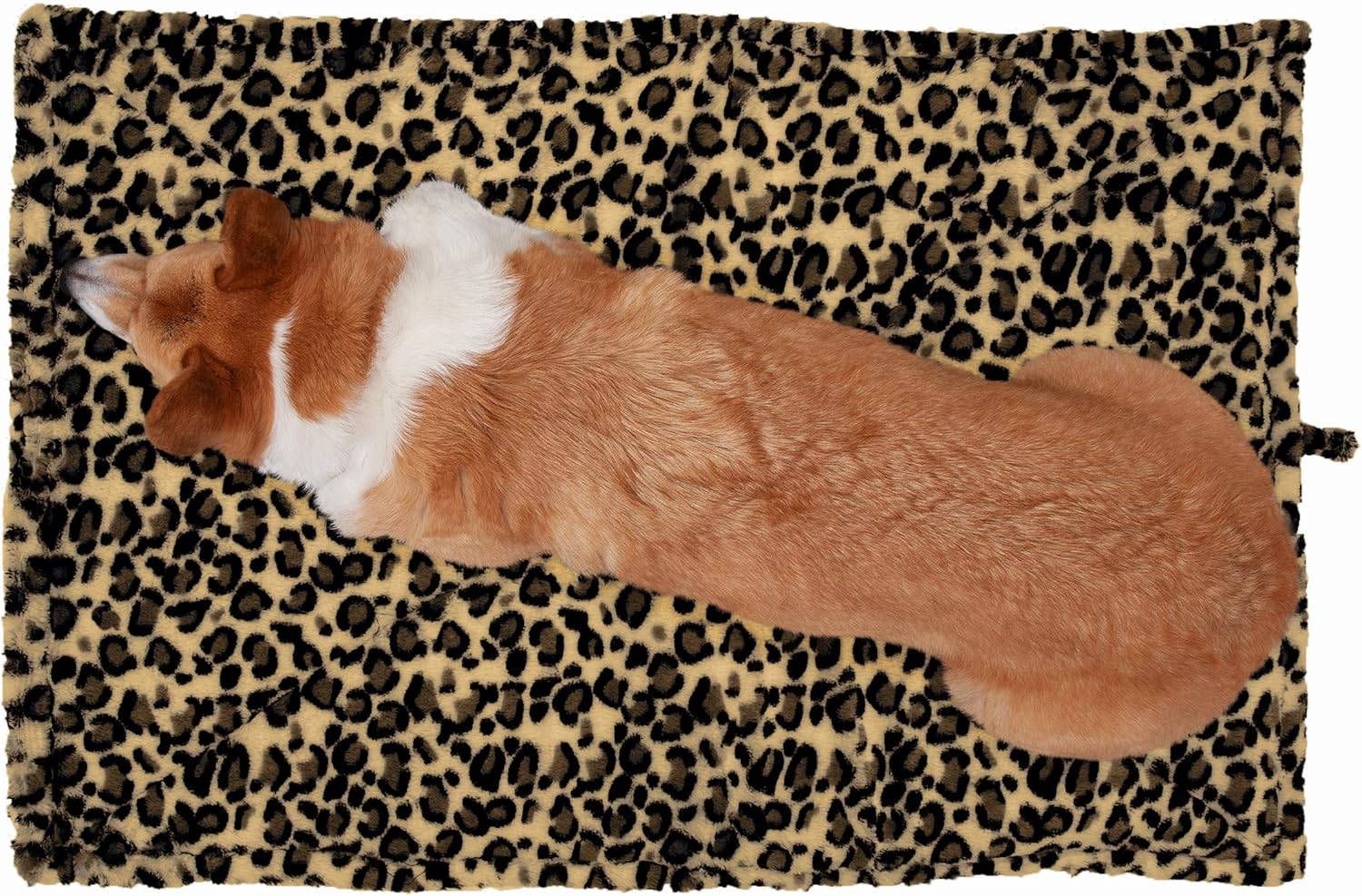 91CaCnKhNL._AC_SL1500_.jpg 91CaCnKhNL._AC_SL1500_.jpg