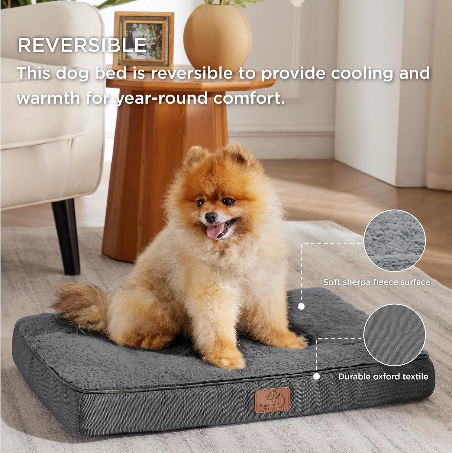 91DN-Dc41VL._AC_SL1500_.jpg 91DN-Dc41VL._AC_SL1500_.jpg