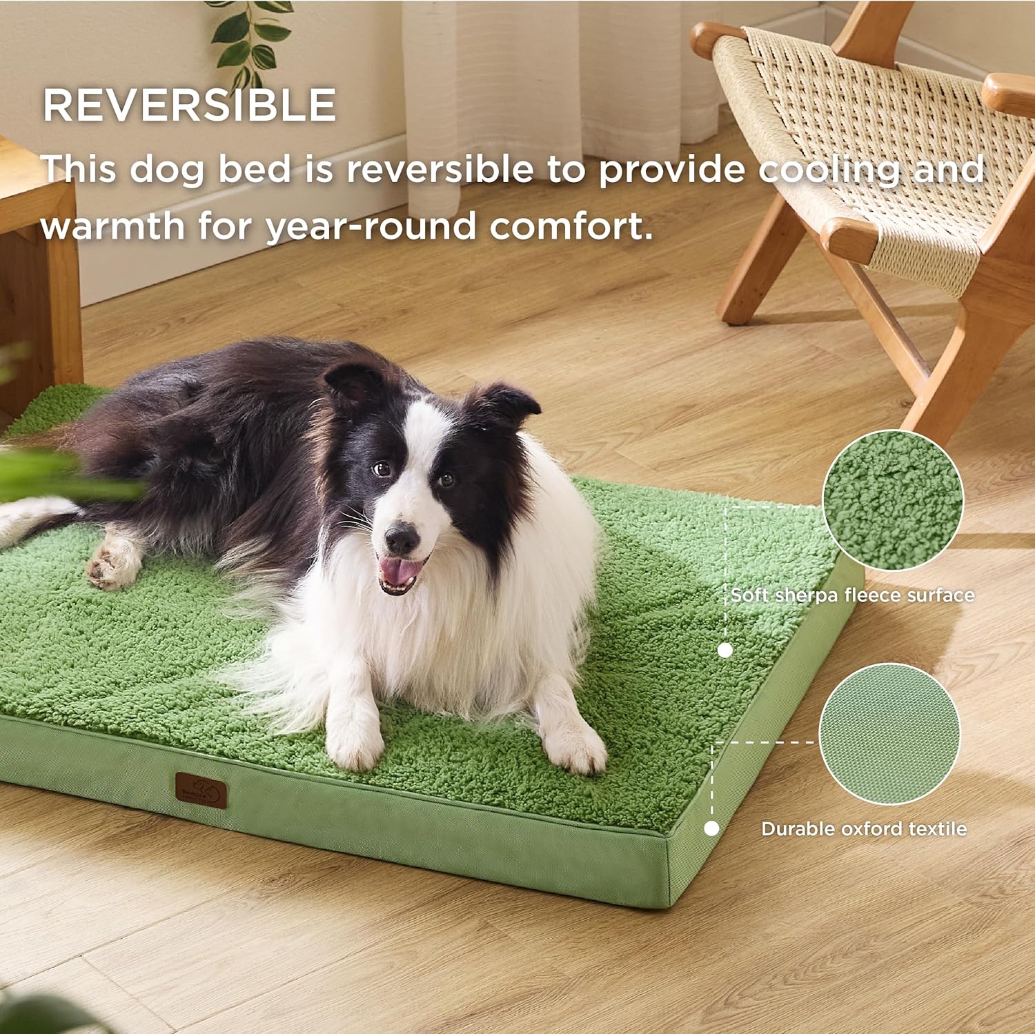 91FsDQra69L._AC_SL1500_.jpg 91FsDQra69L._AC_SL1500_.jpg