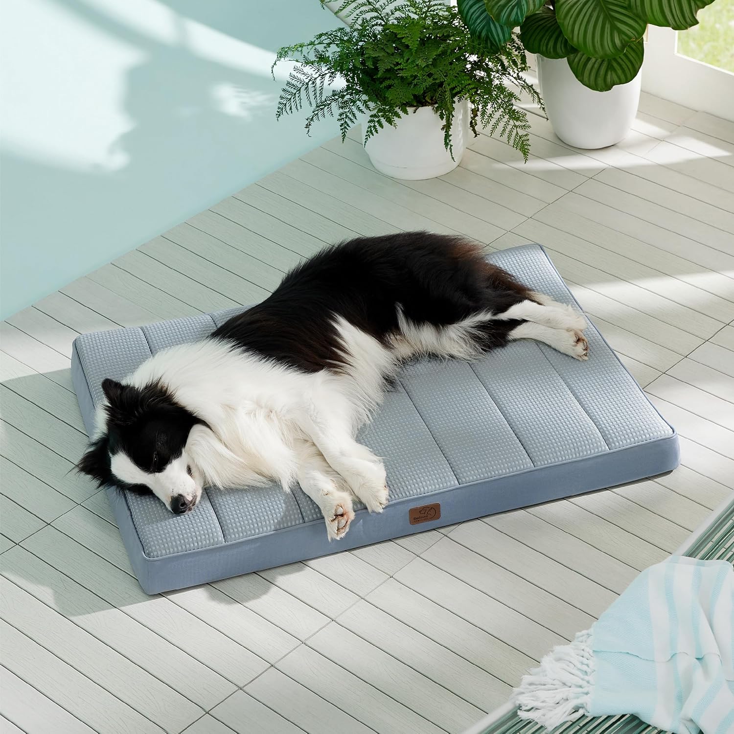 91GuFegWRtL._AC_SL1500_.jpg 91GuFegWRtL._AC_SL1500_.jpg