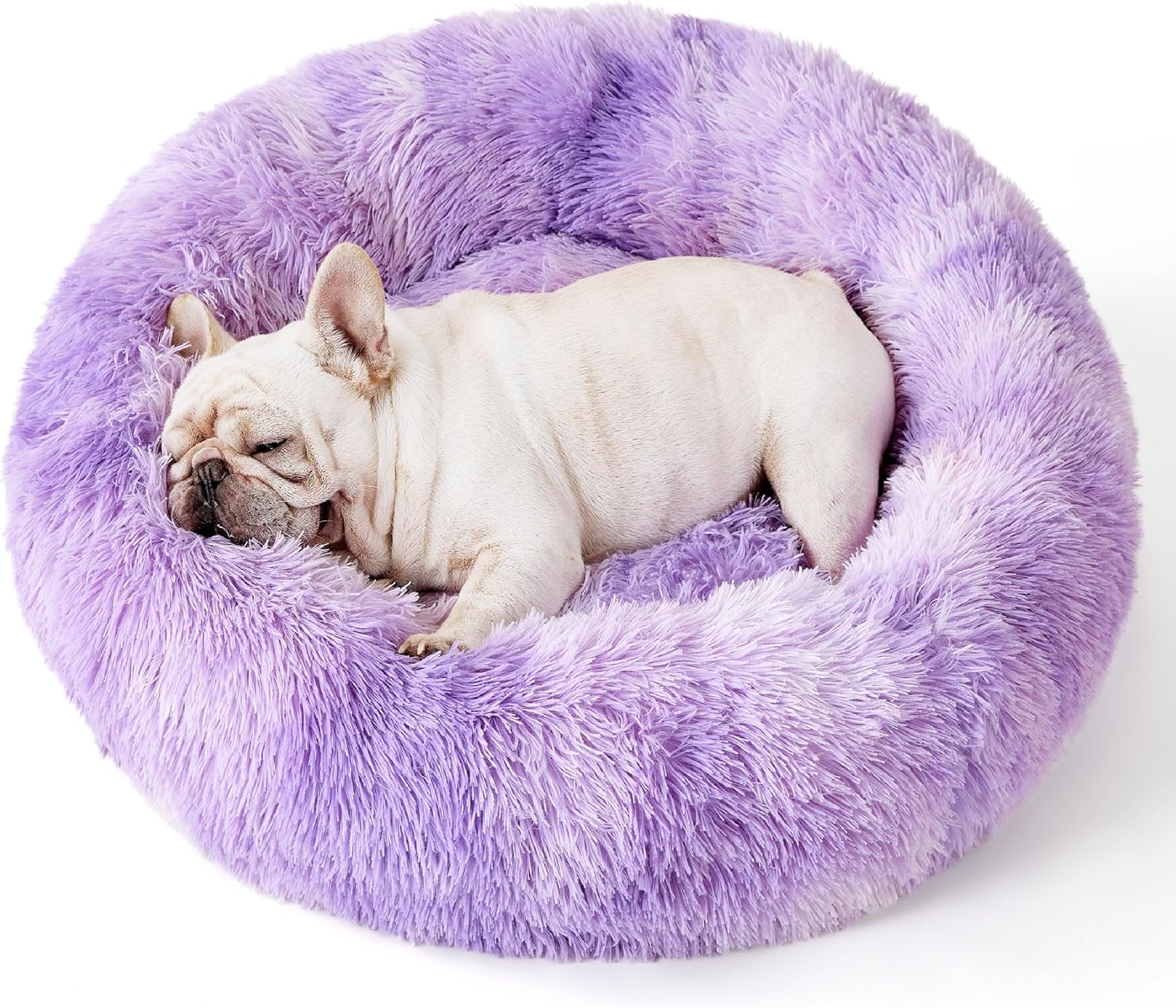 91ImLgINQXL._AC_SL1500_.jpg 91ImLgINQXL._AC_SL1500_.jpg