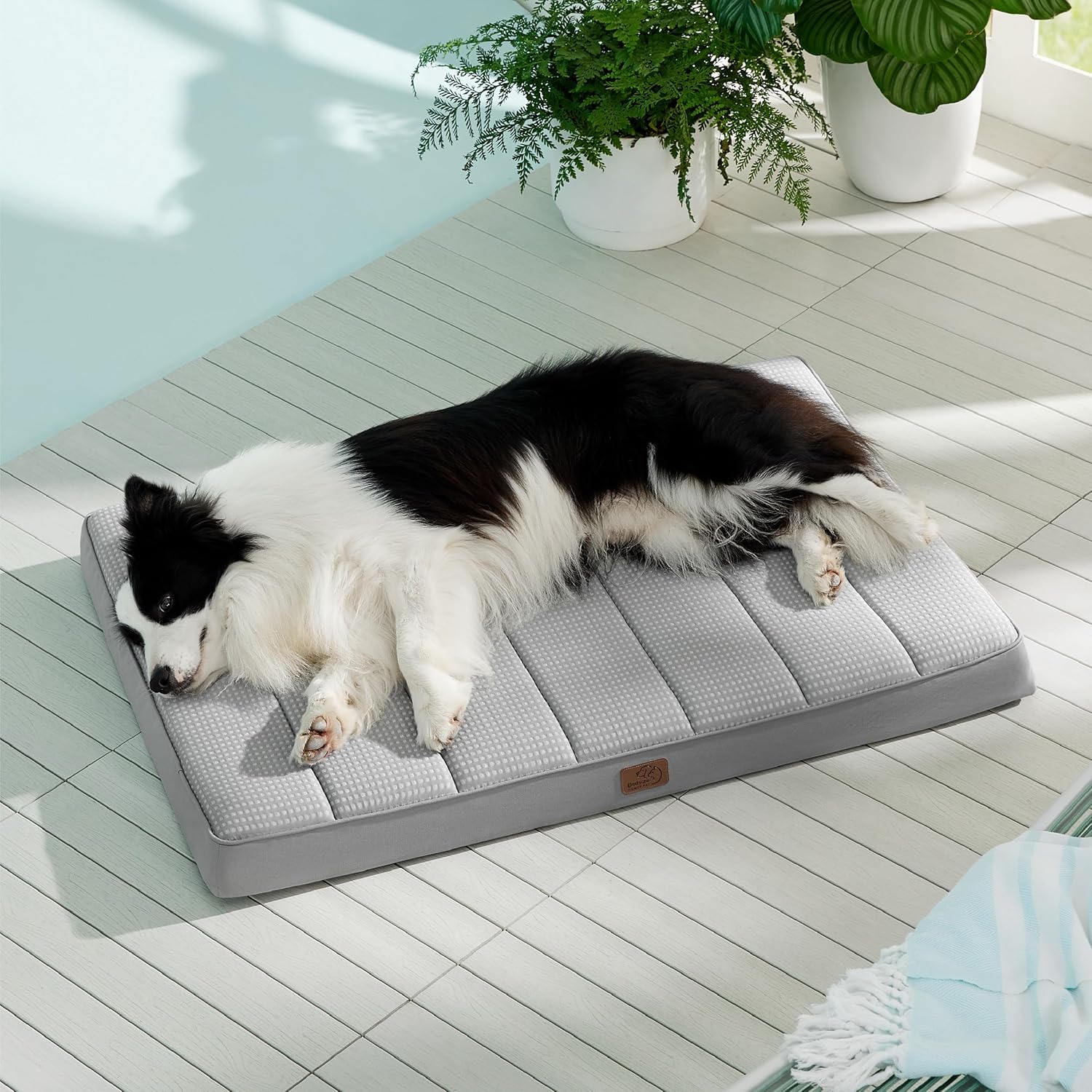 91IuV-8tQlL._AC_SL1500_.jpg 91IuV-8tQlL._AC_SL1500_.jpg