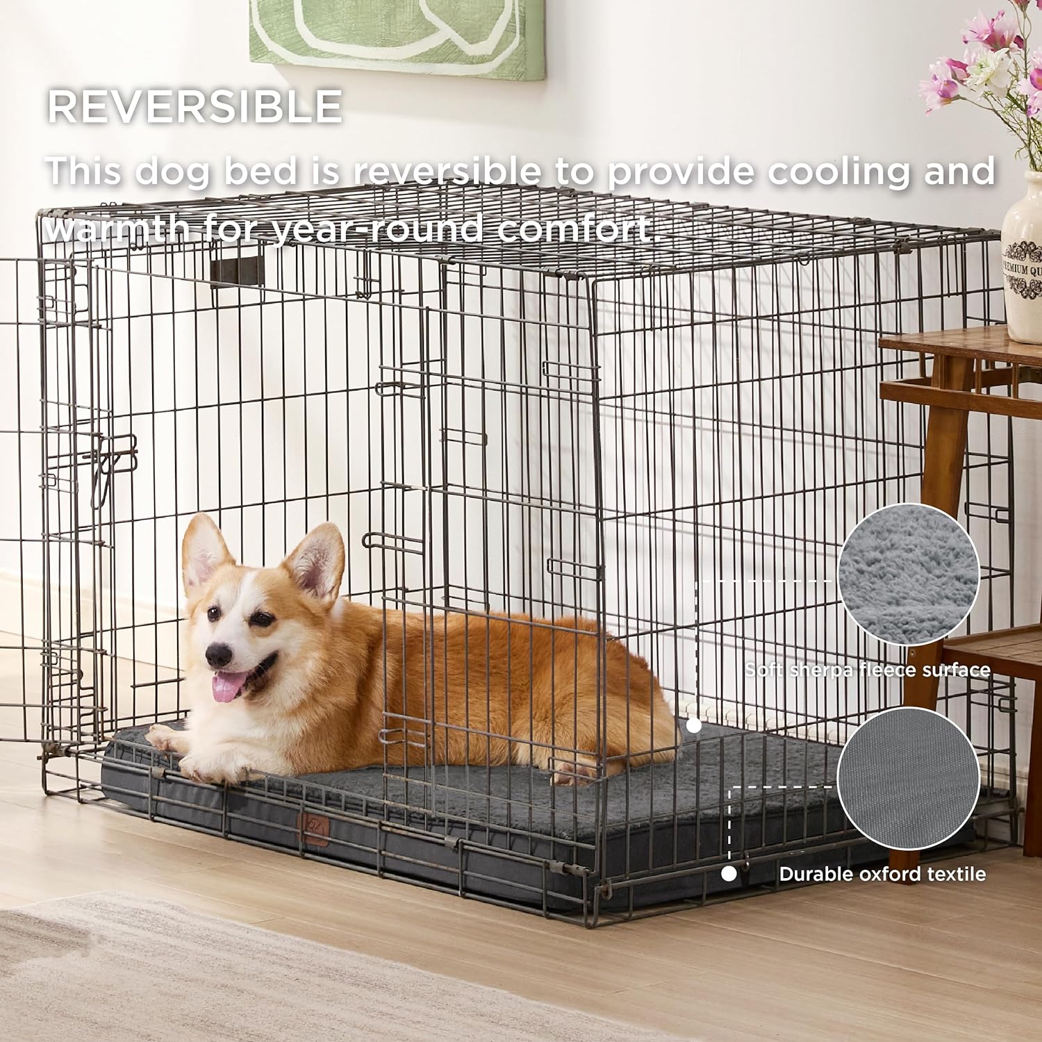 91LBDhtE1EL._AC_SL1500_.jpg 91LBDhtE1EL._AC_SL1500_.jpg