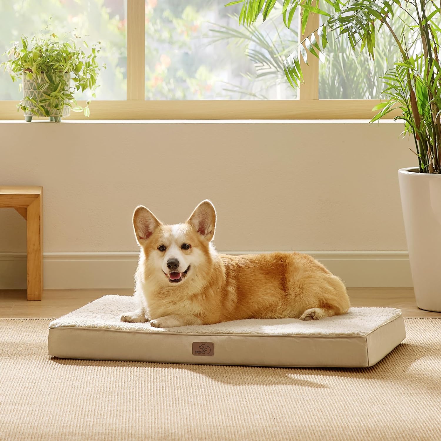 91MpeS76NL._AC_SL1500_.jpg 91MpeS76NL._AC_SL1500_.jpg