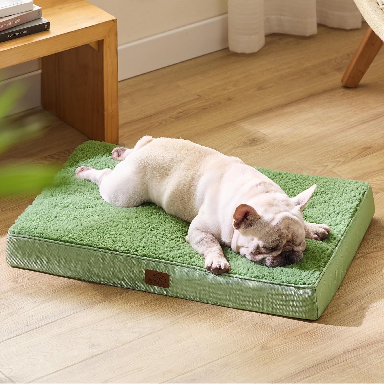 91R02tg9eKL._AC_SL1500_.jpg 91R02tg9eKL._AC_SL1500_.jpg