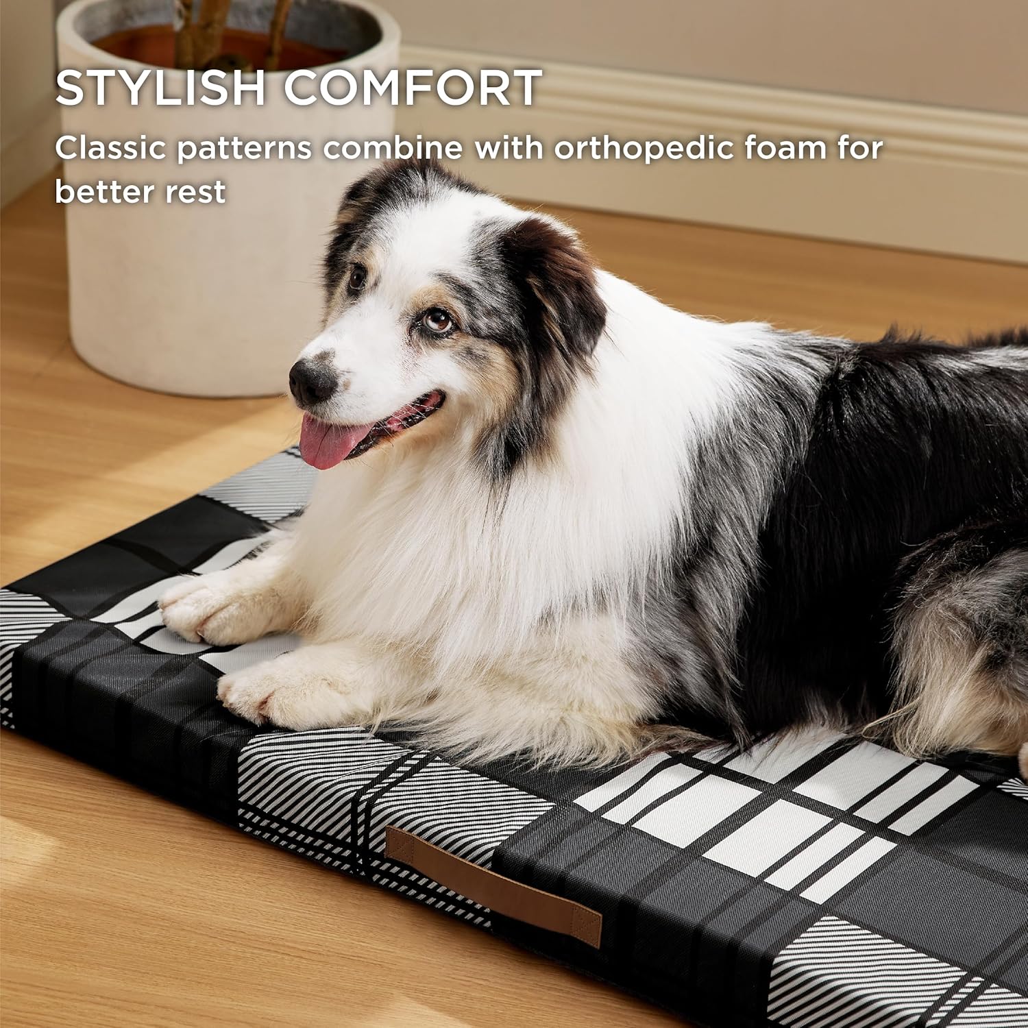 91Ve8ERUrhL._AC_SL1500_.jpg 91Ve8ERUrhL._AC_SL1500_.jpg