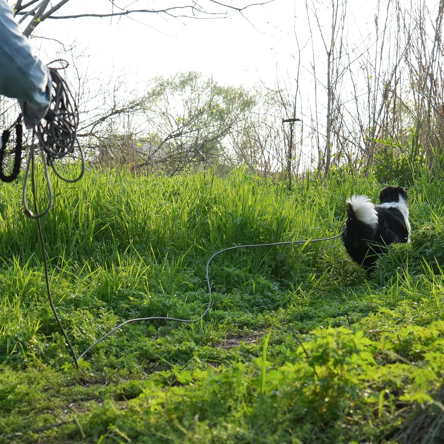 91XGopH6HDL._AC_SL1500_.jpg 91XGopH6HDL._AC_SL1500_.jpg