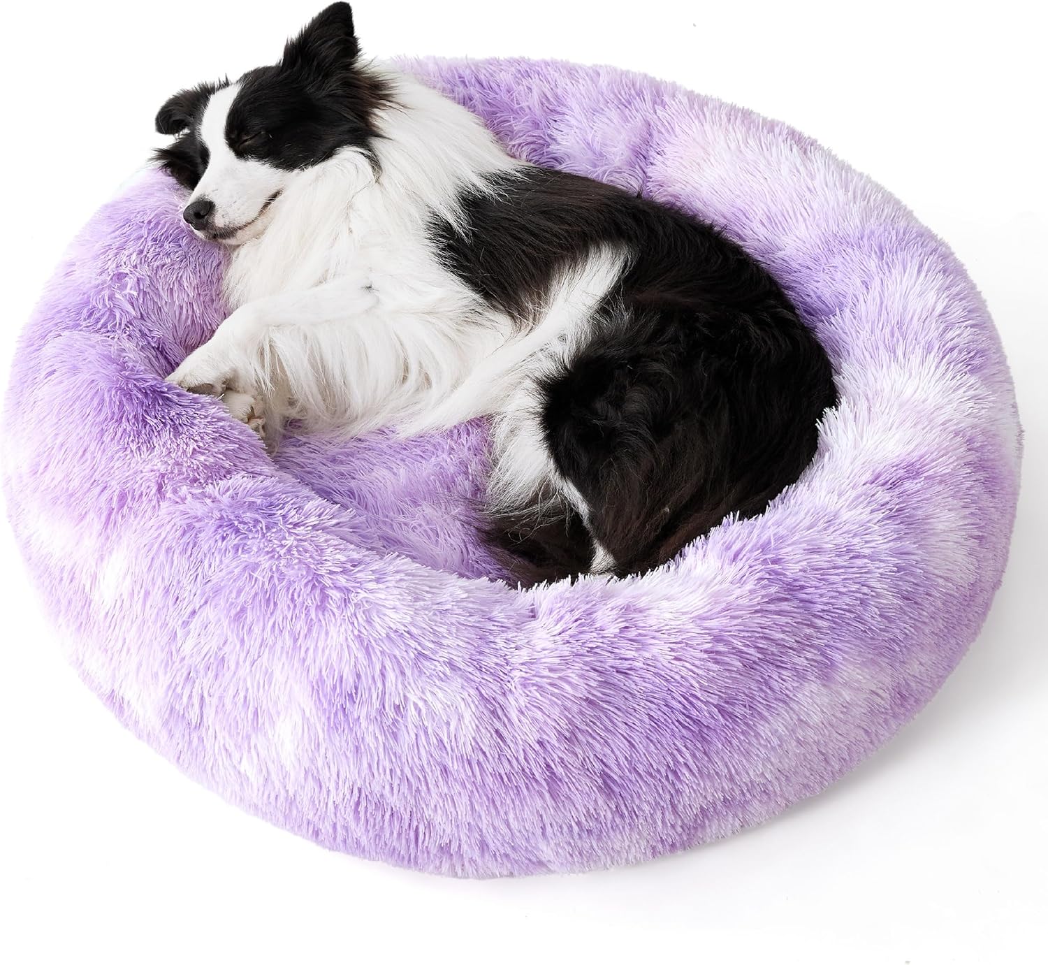 91XxR03P39L._AC_SL1500_.jpg 91XxR03P39L._AC_SL1500_.jpg