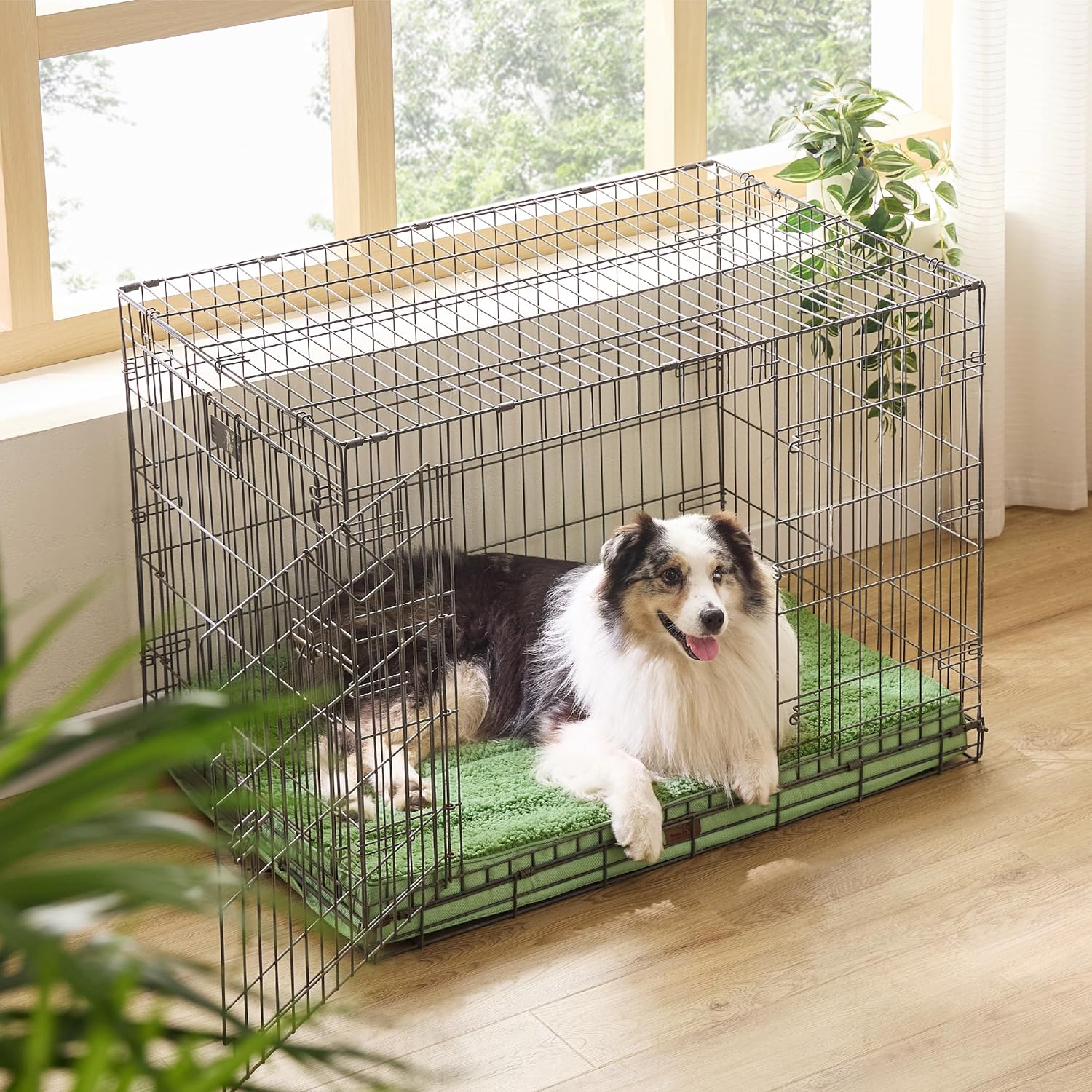 91a33ECs1XL._AC_SL1500_.jpg 91a33ECs1XL._AC_SL1500_.jpg