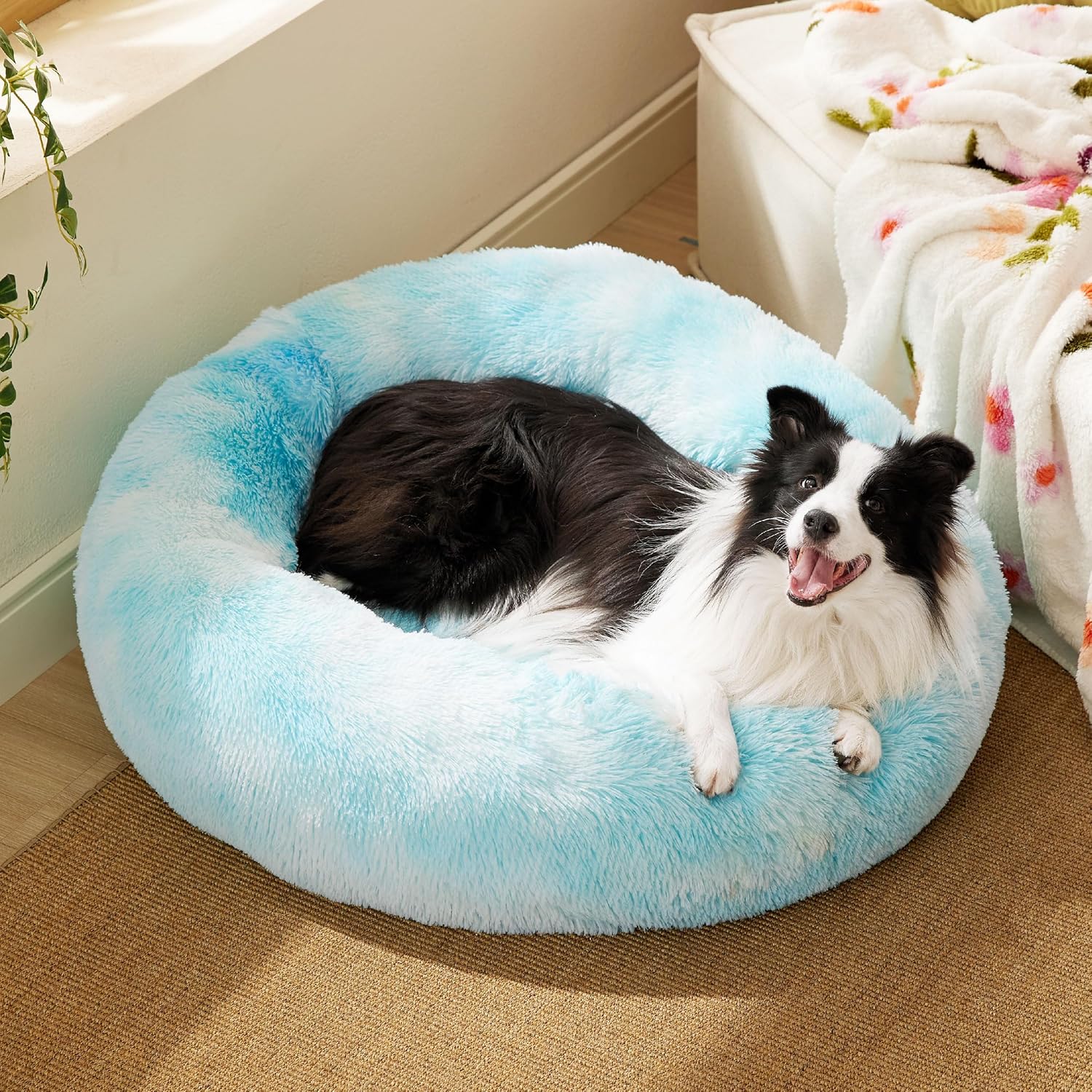 91aVQgDNt2L._AC_SL1500_-2.jpg 91aVQgDNt2L._AC_SL1500_-2.jpg