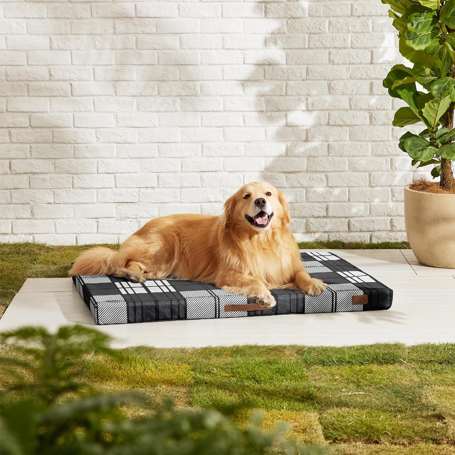 91cz9ziA33L._AC_SL1500_.jpg 91cz9ziA33L._AC_SL1500_.jpg