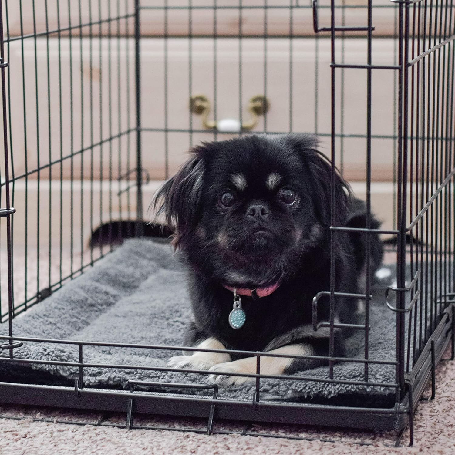 91datRPn2IL._AC_SL1500_.jpg 91datRPn2IL._AC_SL1500_.jpg